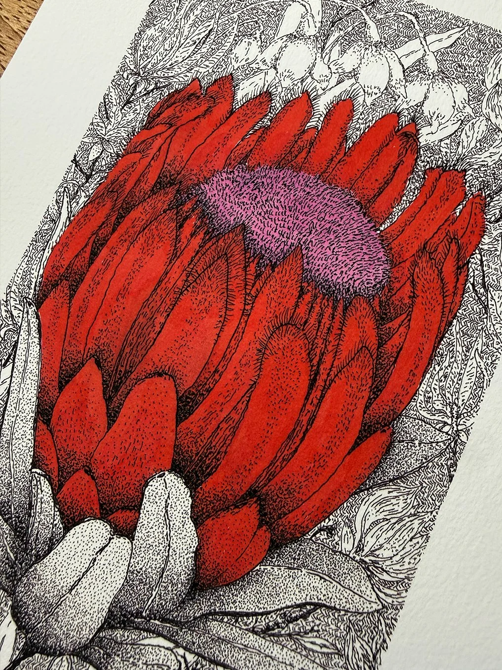 RubyProtea_A5_thumbnail3.jpg