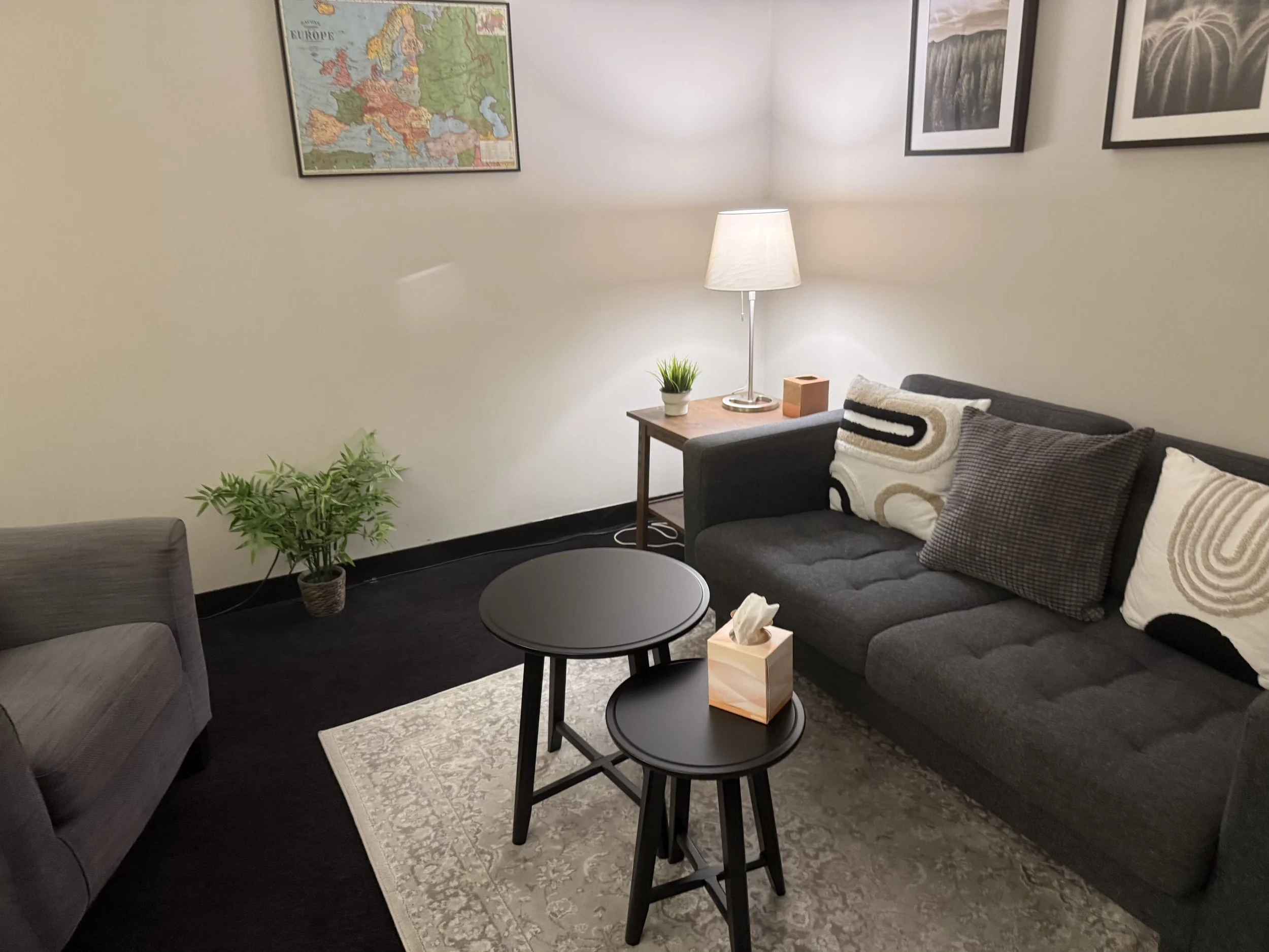 Surry Hills Counselling Room 