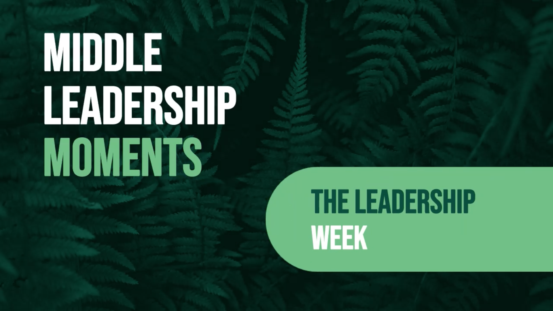 Screenshot 2026-04-08 at 4.52.55 PM (2).png