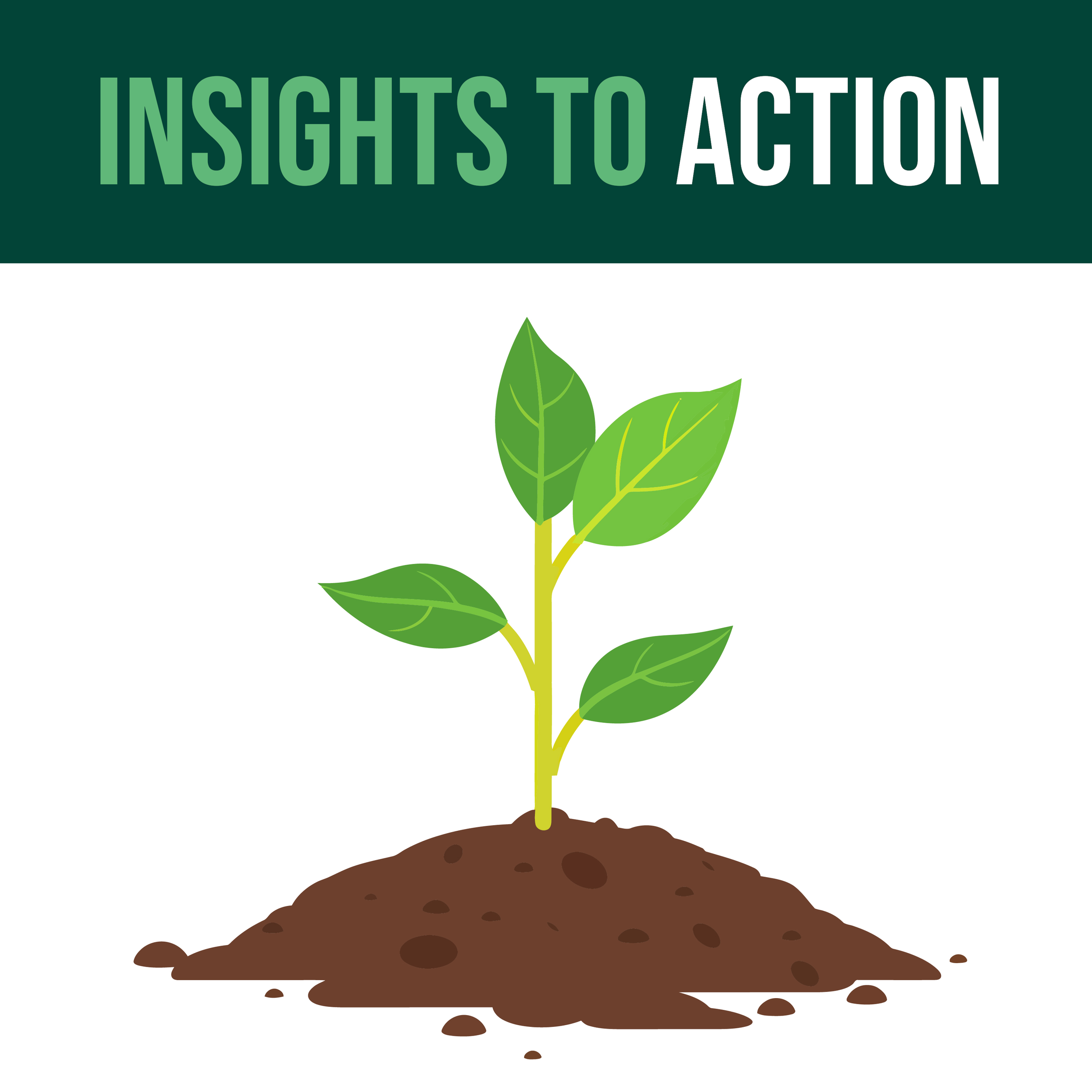 Insights to Action: One Day Workshop