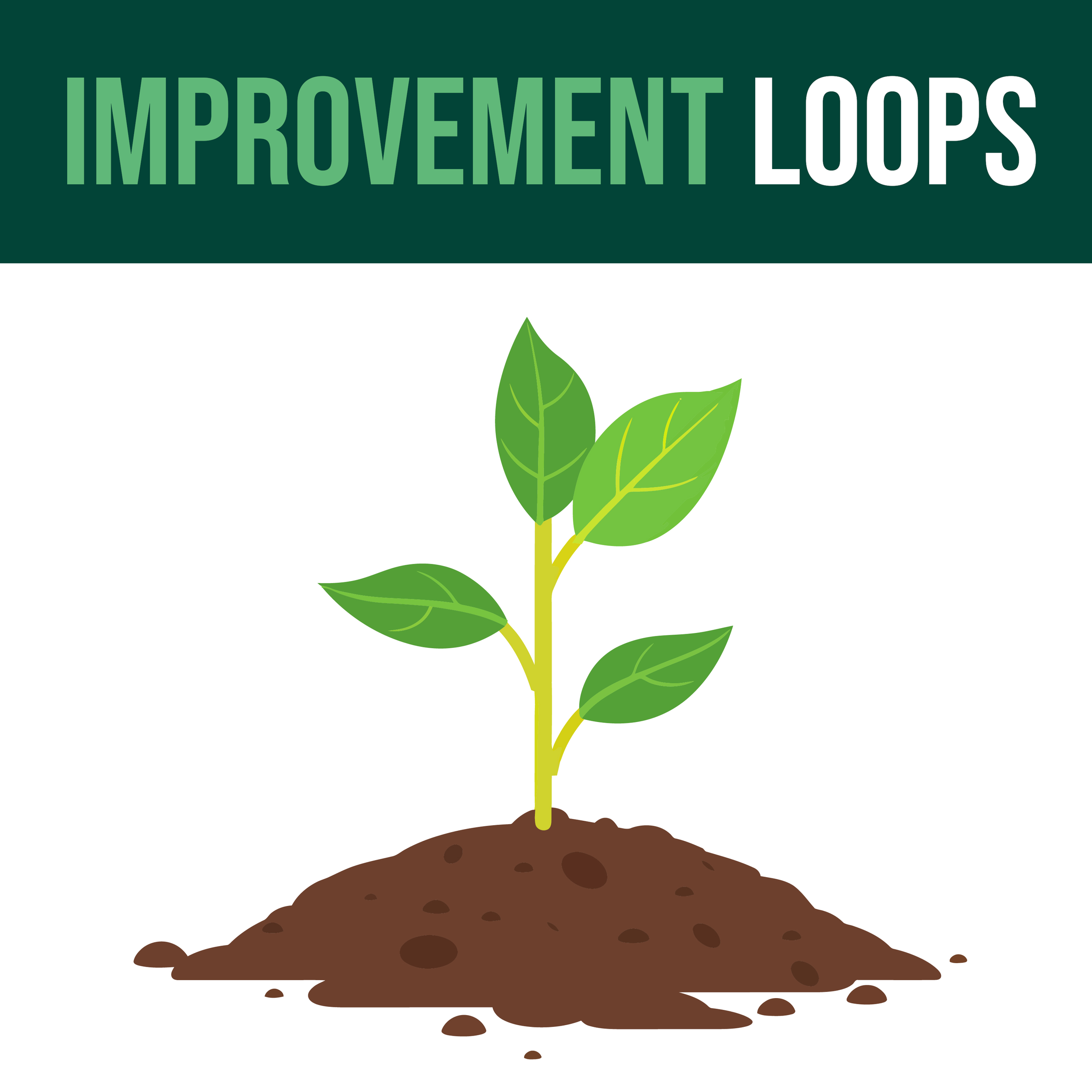 Improvement Loops: Full Year Programme