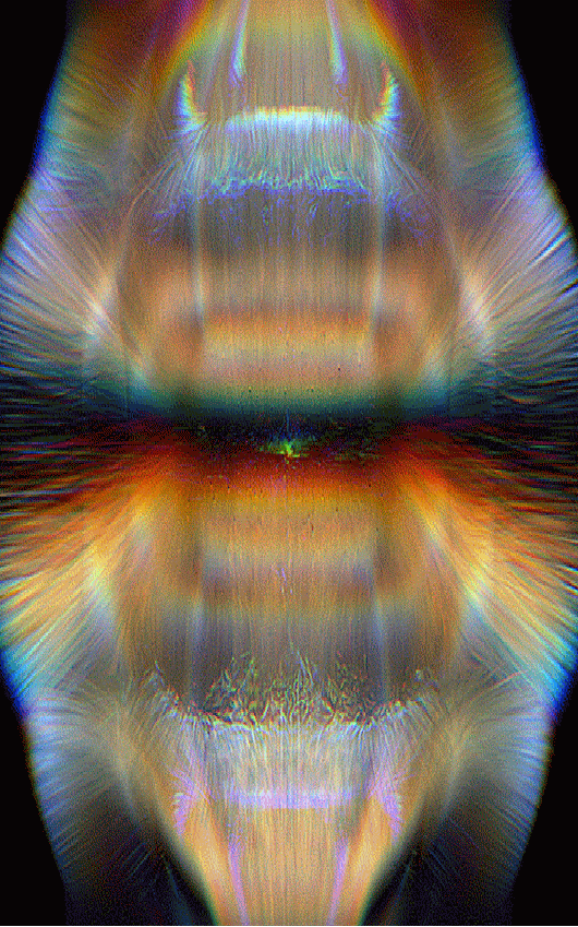 b52bb62c3844e00fd32f60dfb7896c28.gif