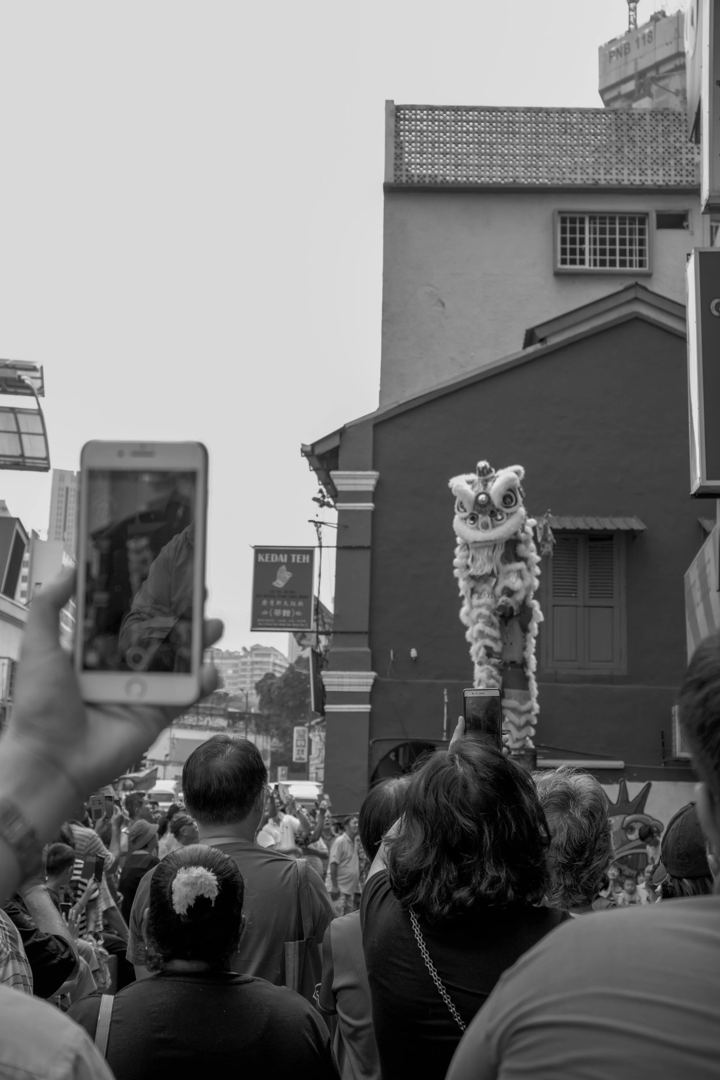 _MG_1608.JPG