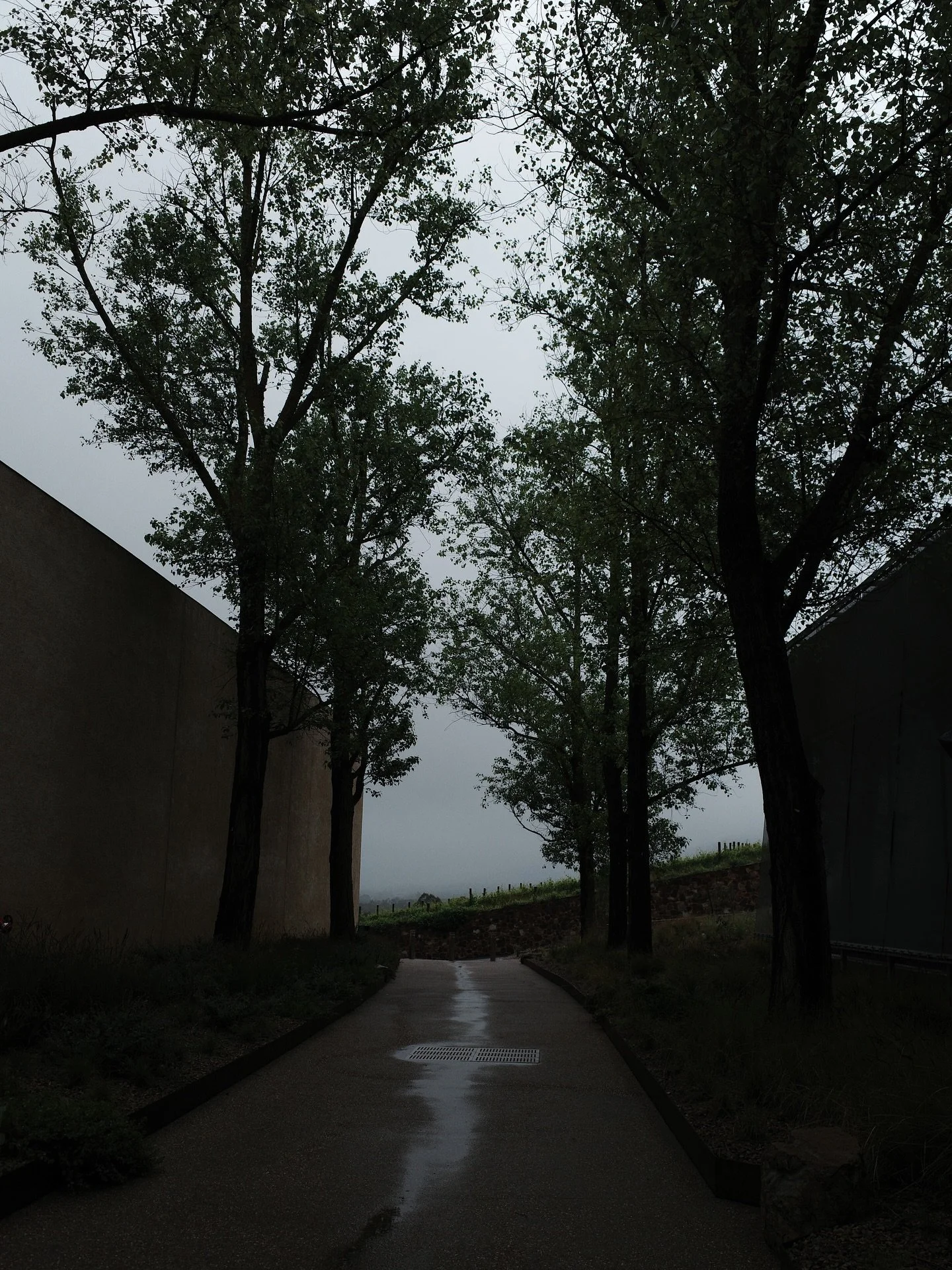 The weather turning on and off the dark and light has been so enjoyable. Winters in Spring have been so fitting for my moody writing and shitty moods and the shitty people who created the shitty moods written in my moody writing.