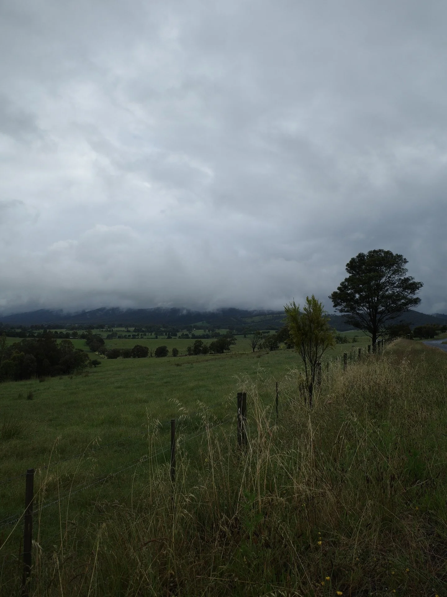 Is this the real life? Is this just fantasy?
My drive to work is indescribable - swipe across for the full 369 plus soundscape 🫠