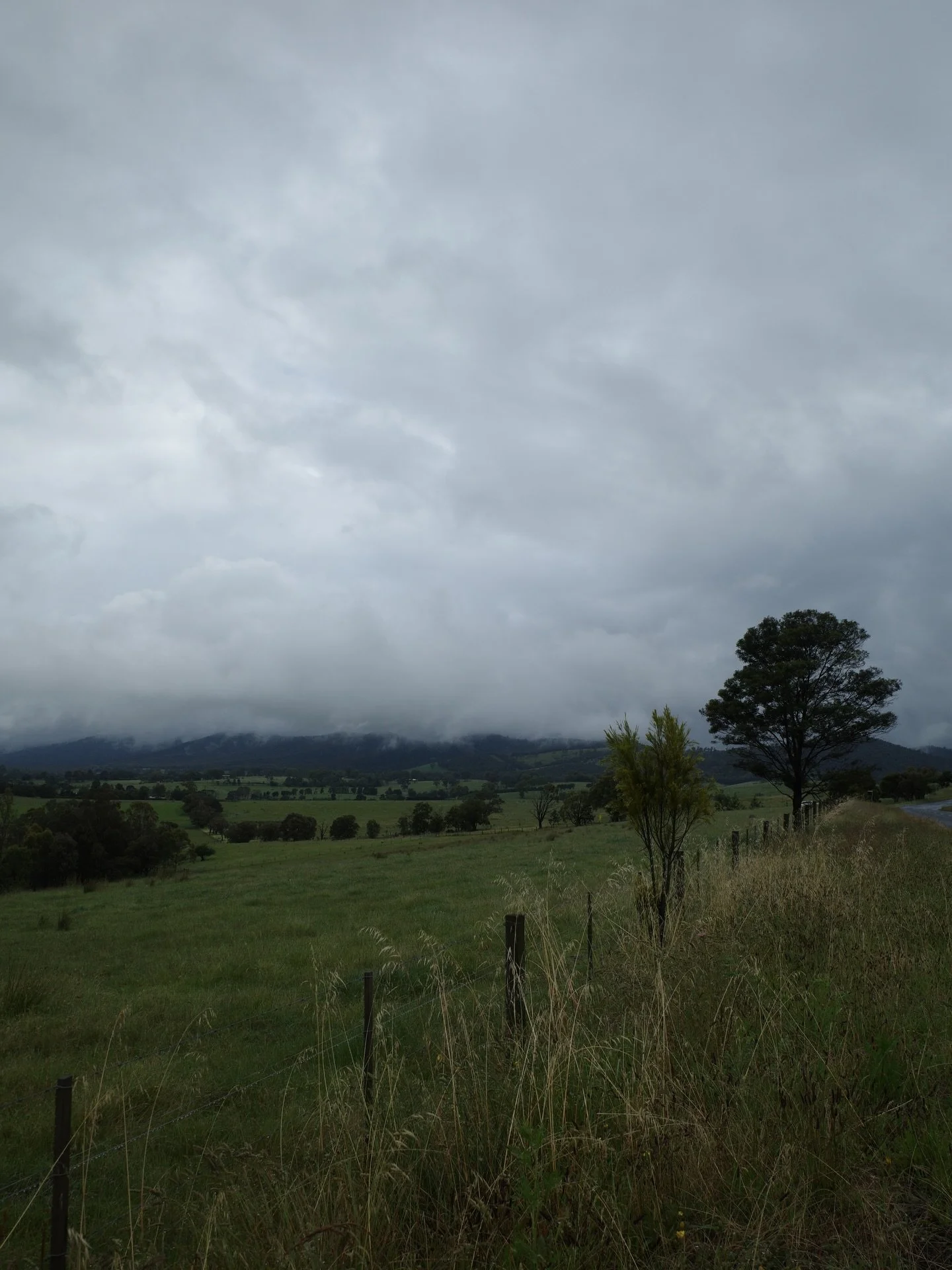 Blue sky turned grey
Blinds knock against the window 
Thirsty plants placed outside

I&rsquo;m going to share some of my Haikus / Senryus here. I don&rsquo;t post my main poems and I miss sharing!

So since I&rsquo;m writing my Haiku a day as creativ