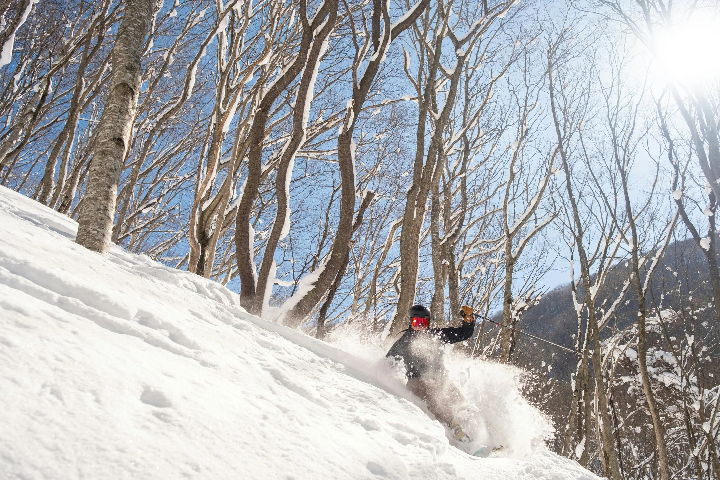 A person skiing down a snowy slope in a wooded area with bare trees and a bright blue sky.