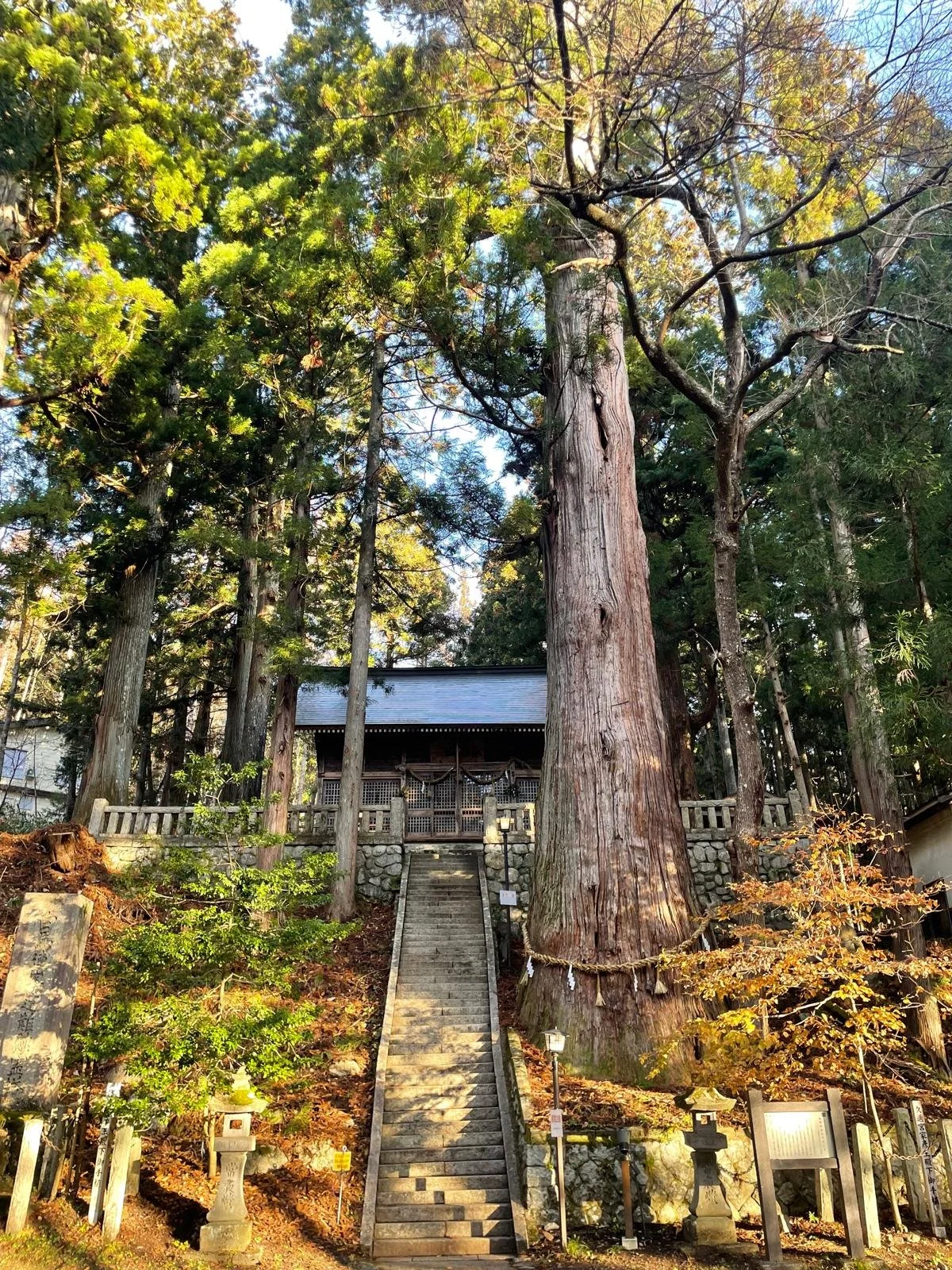 The Best Things To Do in Hakuba When You’re Injured: A Complete Guide by Peak Sports Physio Hakuba