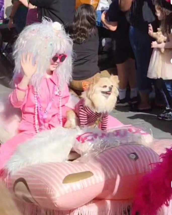 A person dressed in a pink outfit with a large, colorful wig and sunglasses sitting next to a small dog wearing a striped shirt, at an outdoor event with people in the background.