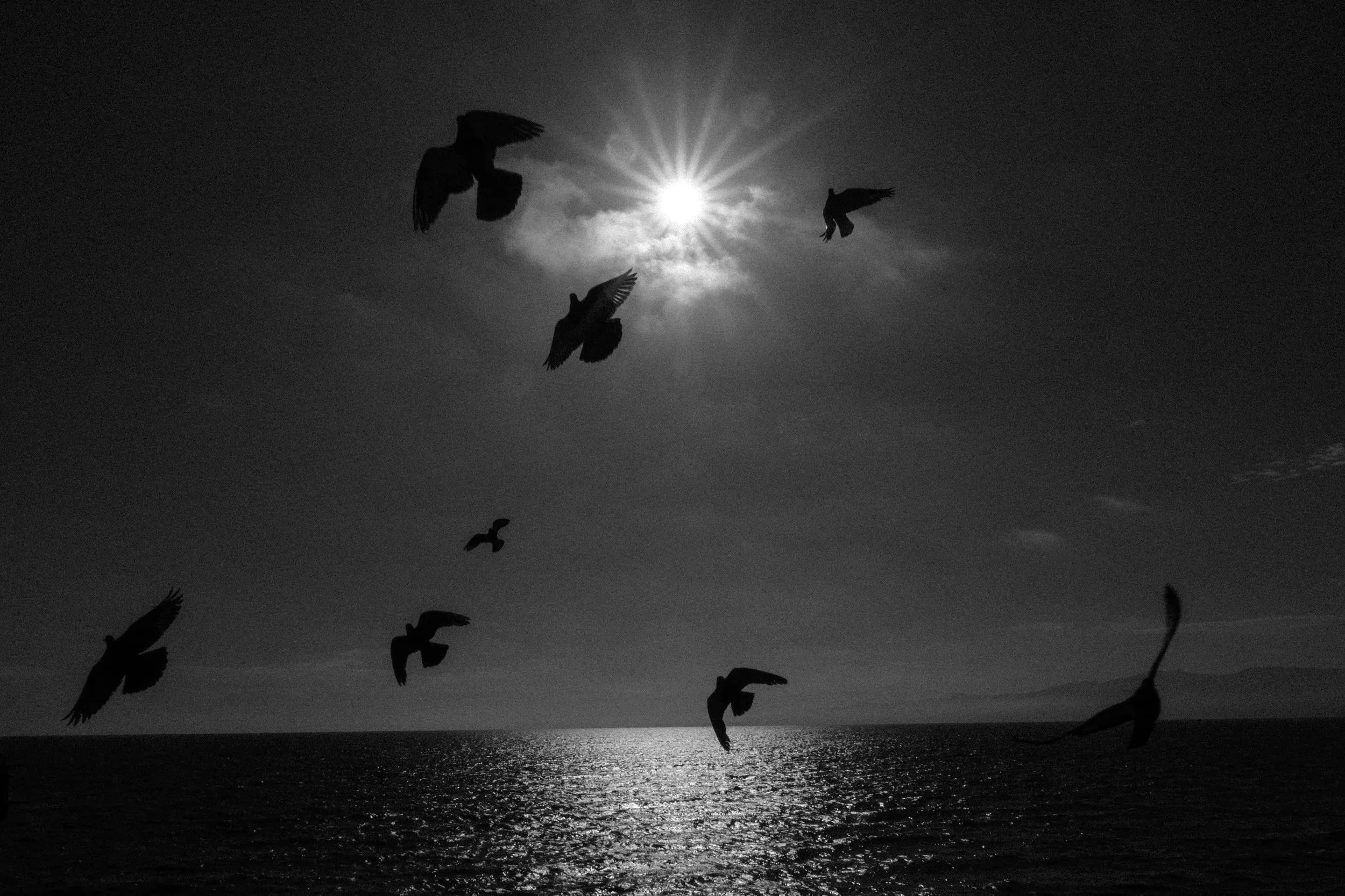 DSCF3787+2.jpg
