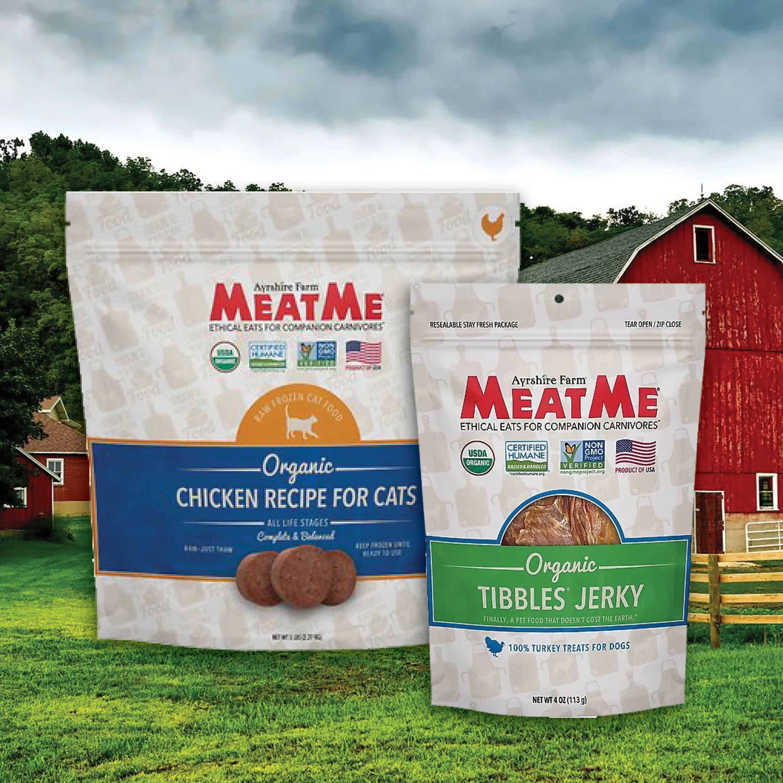 Portfolio - MeatMe.jpg