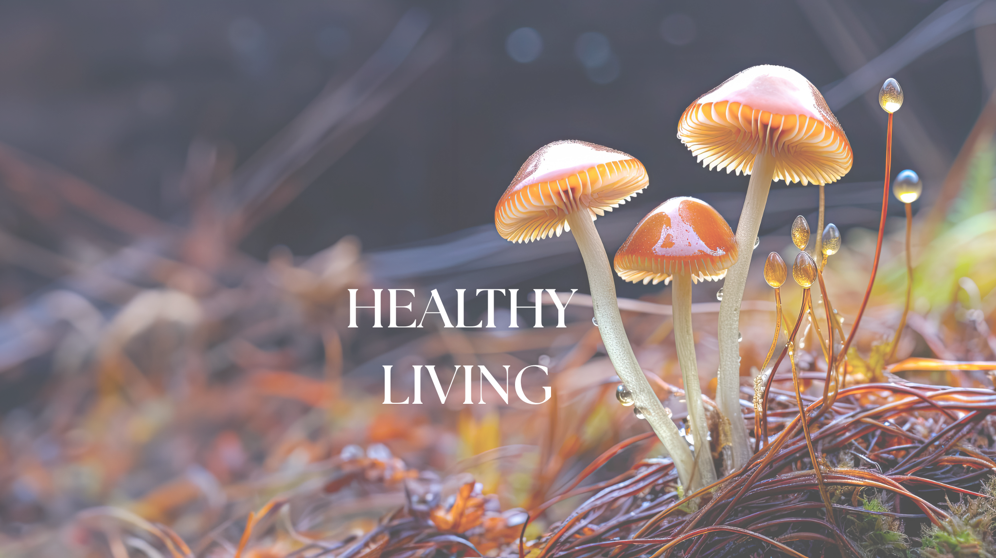 Healthy Living