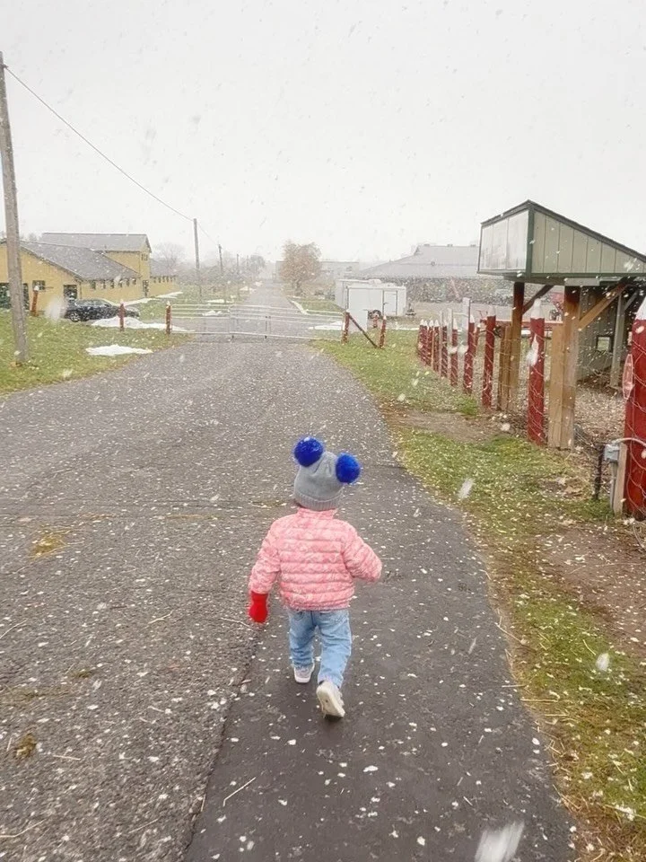 Love always pulls me back into life. ❄️❤️

I almost stayed home&hellip; but Kate had other plans.
She loved every second &mdash; the animals, the snow on her cheeks, the tractor, the cookies.
And watching her&hellip; I felt it too.

Life.
Gratitude.
