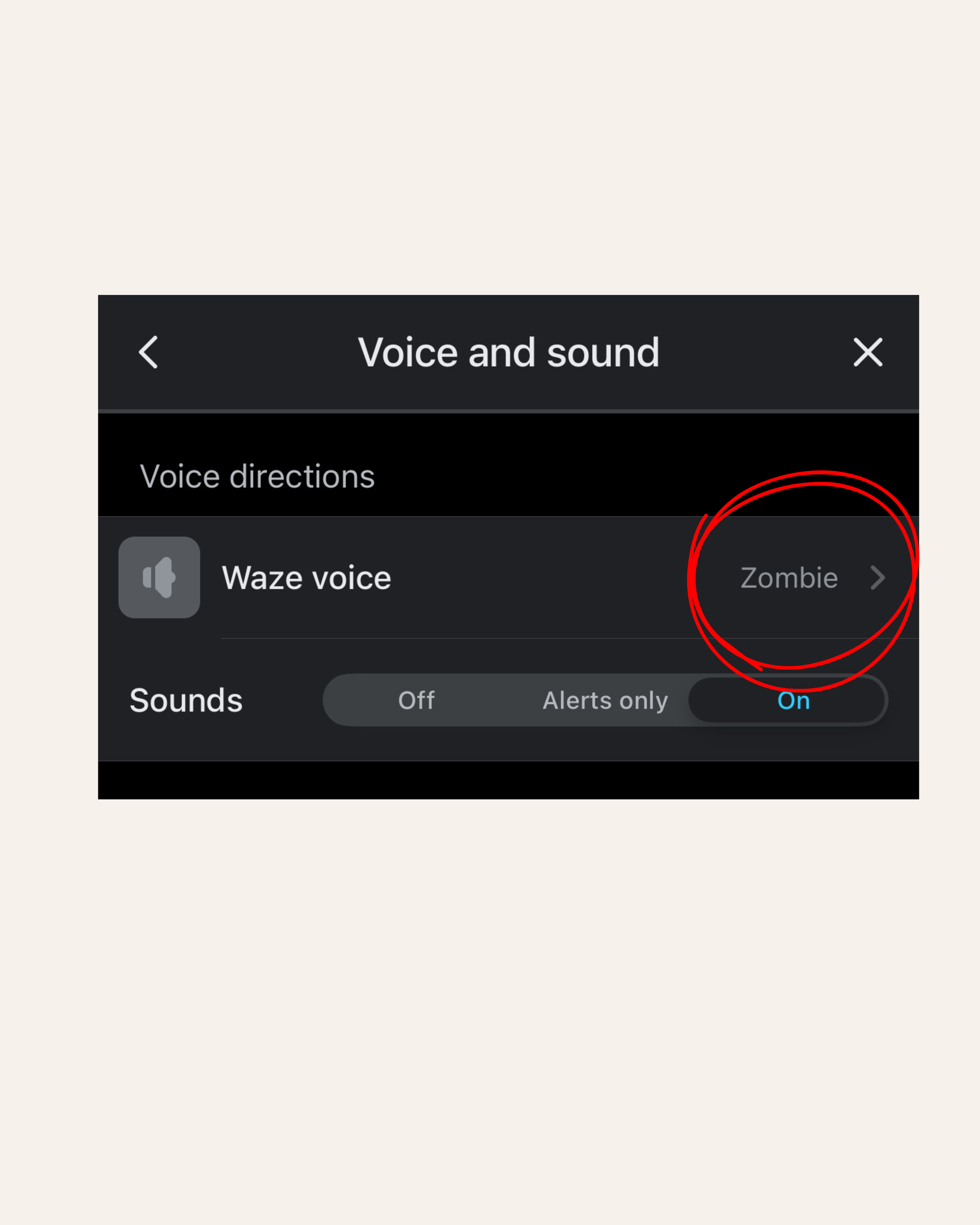 Some People Are Here, Even When They’re Not
