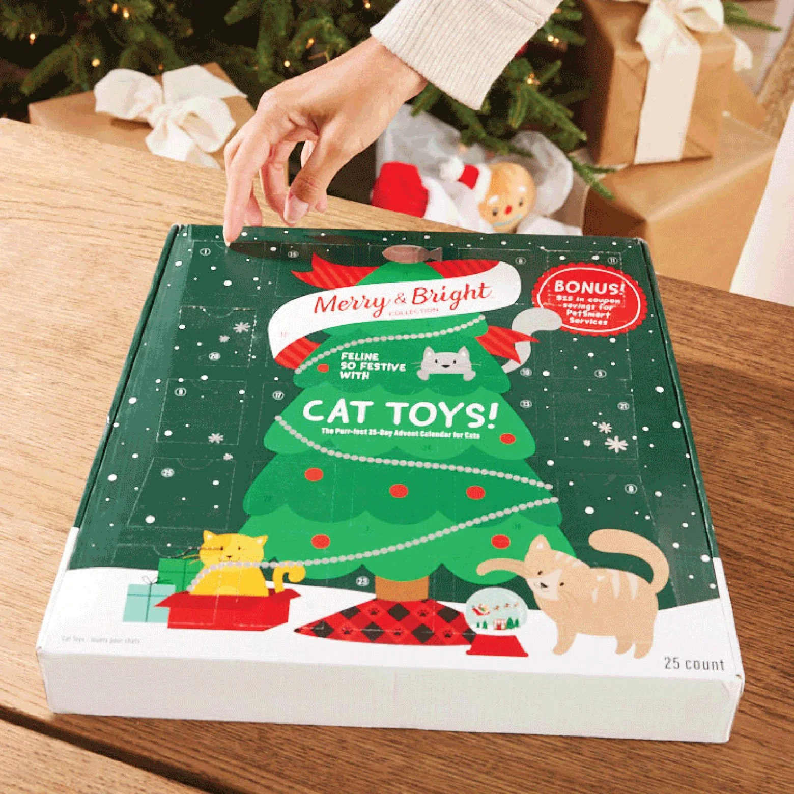 Advent Calendar Illustrations