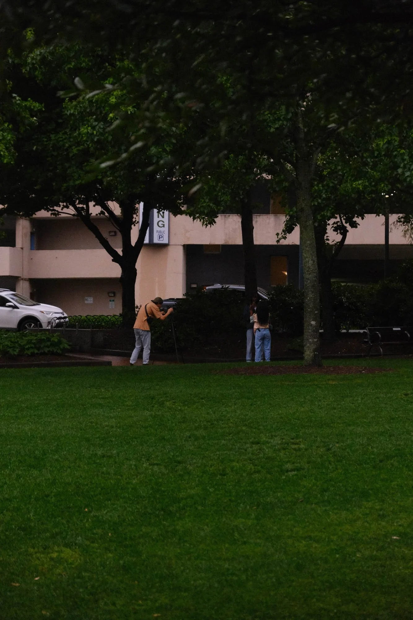 DSCF6559.jpg