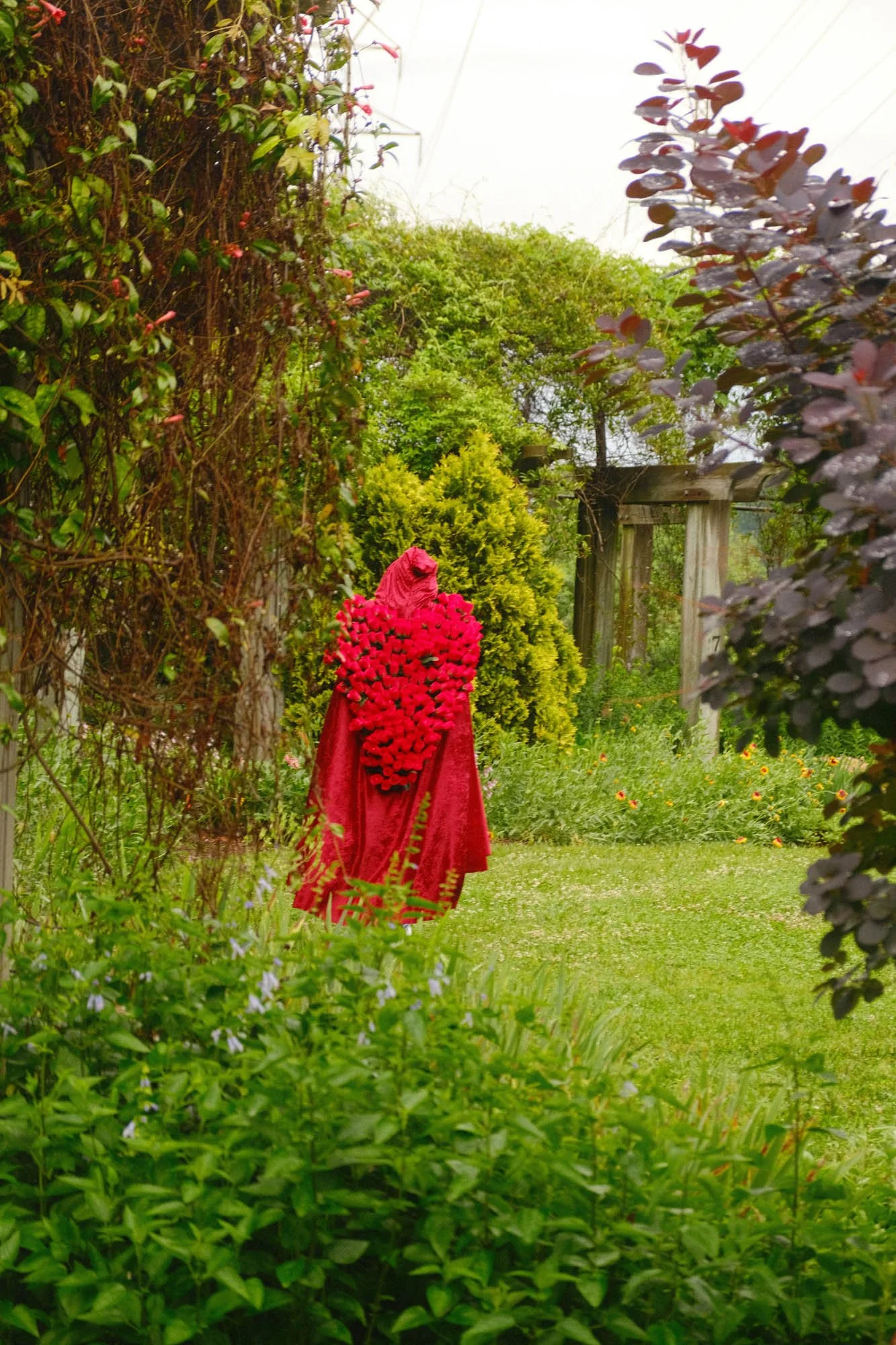 DSCF5469.jpg