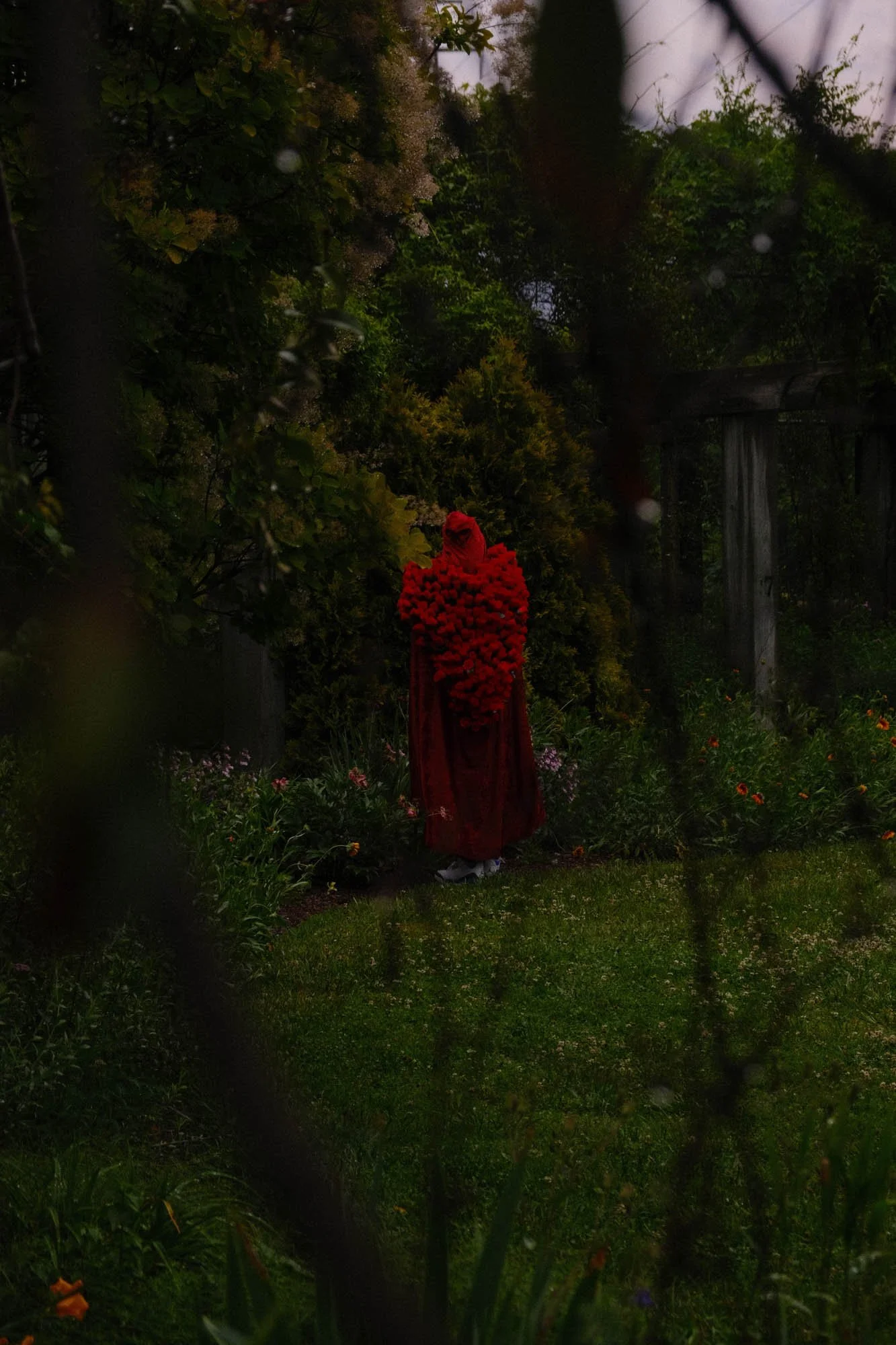 DSCF5520.jpg