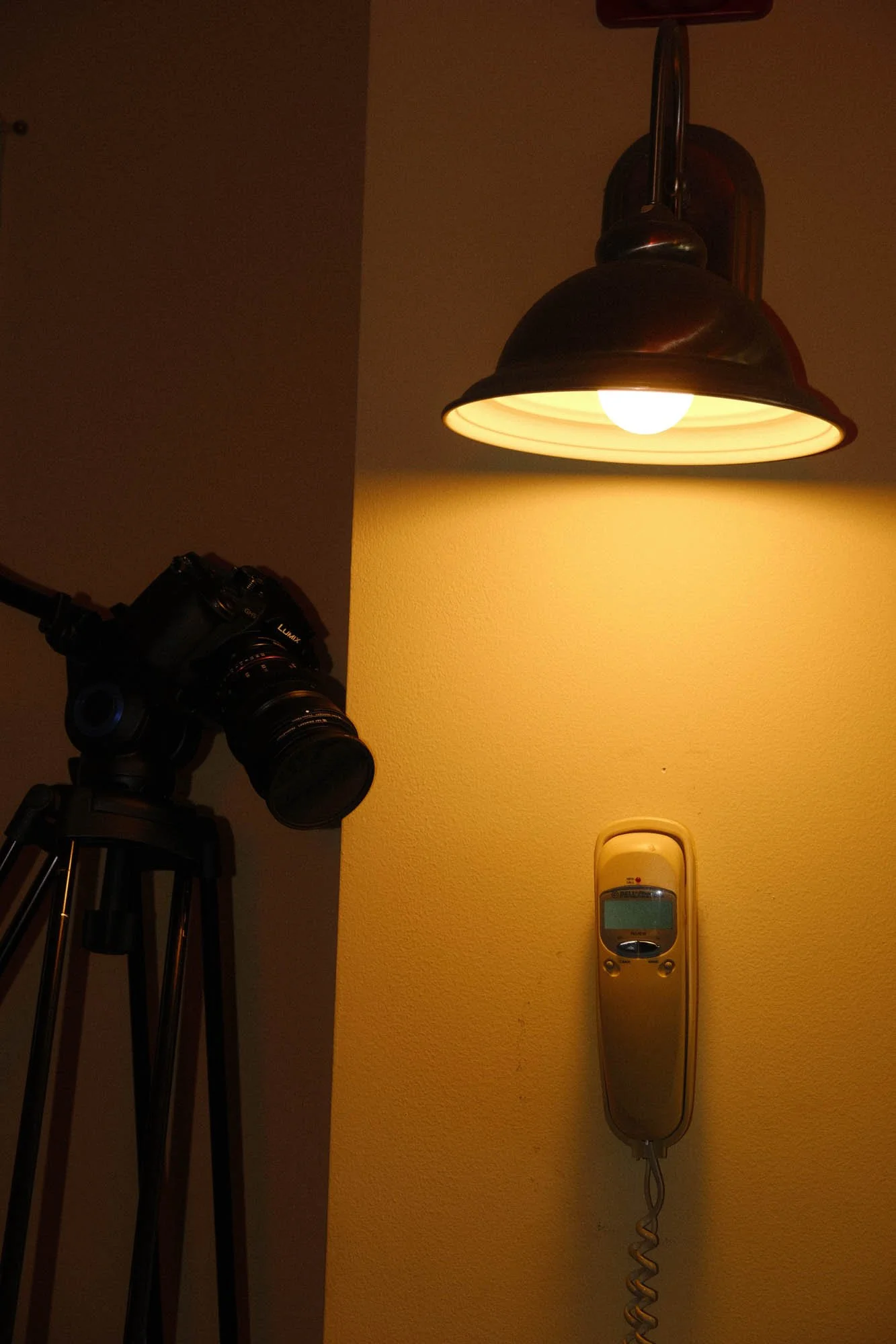 DSCF5158.jpg