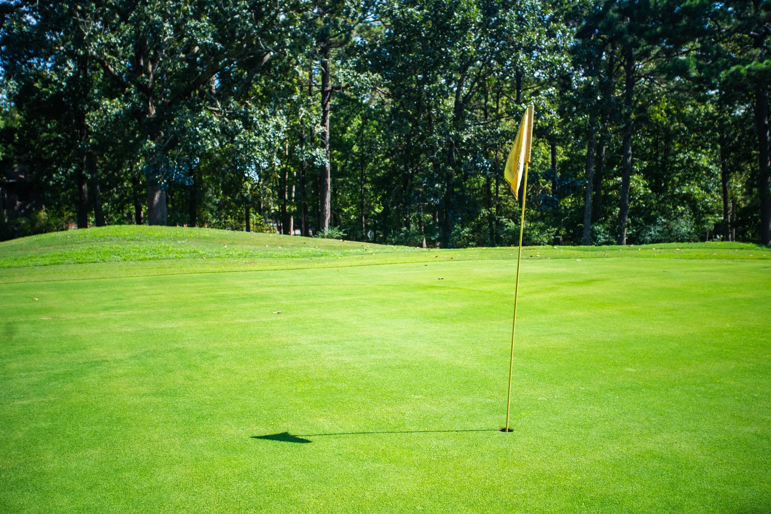 A golf course green with a yellow flag on the hole, surrounded by trees.