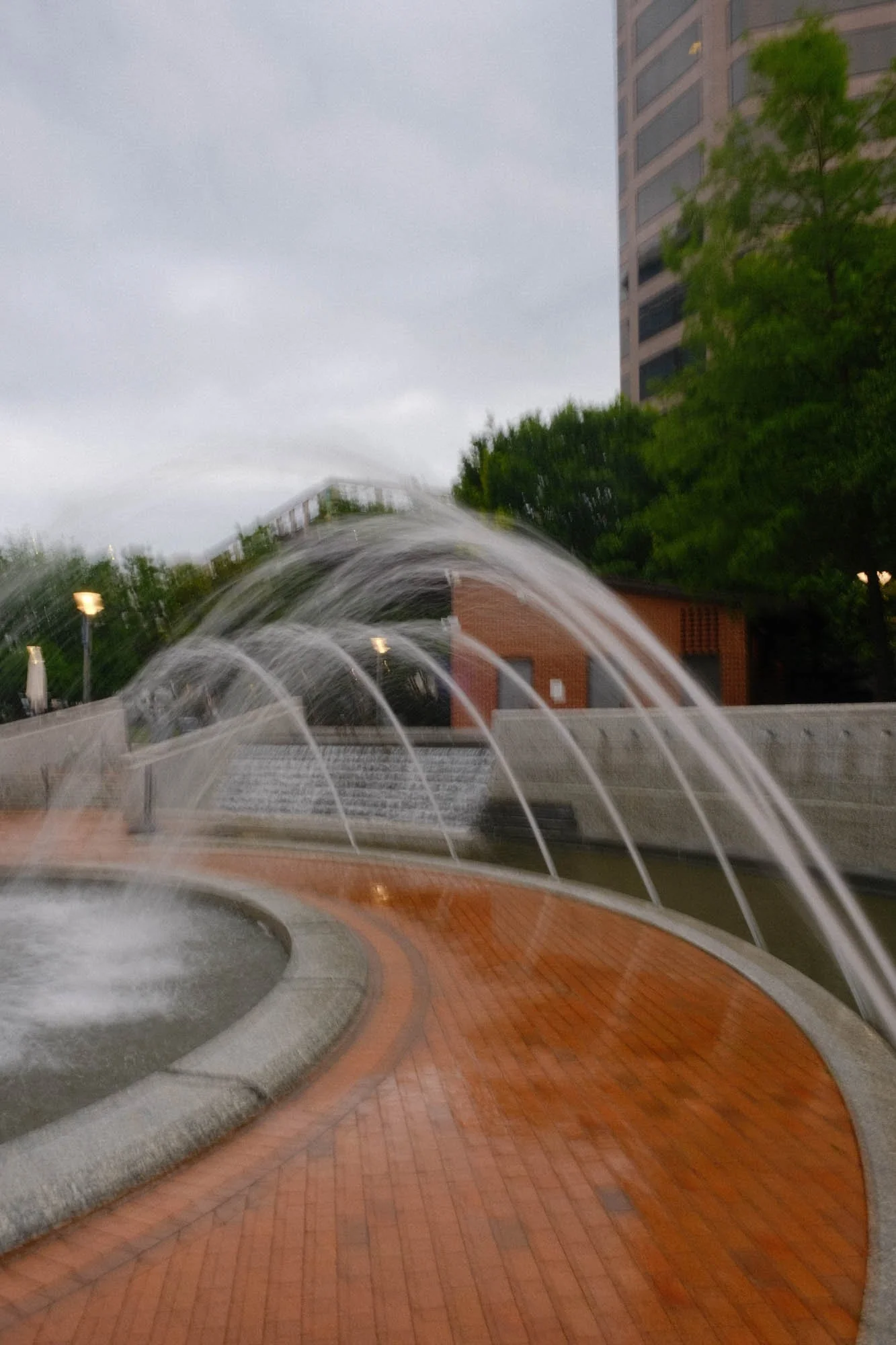 DSCF6466.jpg