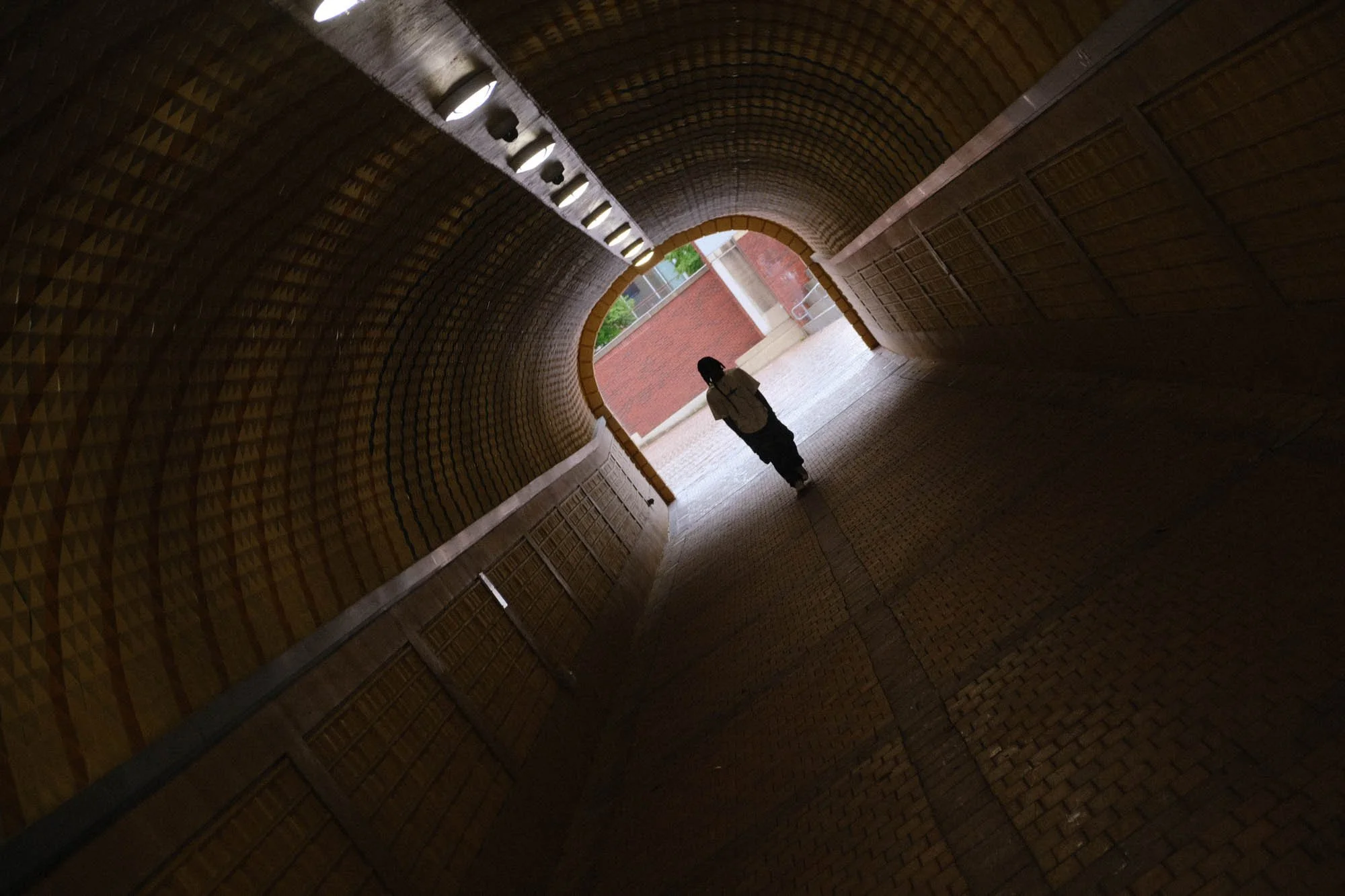 DSCF5406.jpg