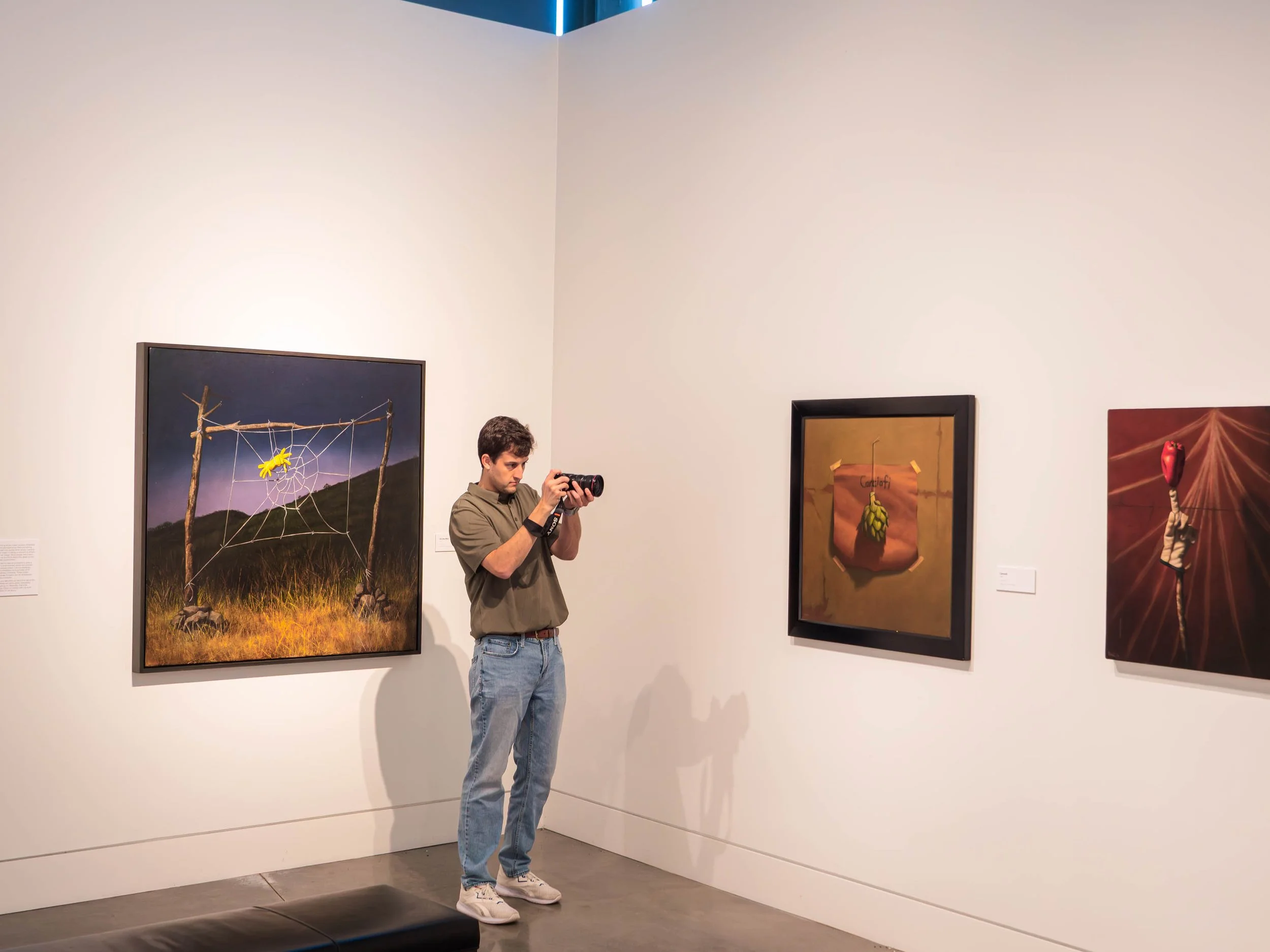 A man with dark hair, wearing a gray shirt and blue jeans, standing in an art gallery, taking a photo with a camera. Behind him are framed artworks on a white wall, including a piece with a spider web and a yellow spider, and other illustrations.