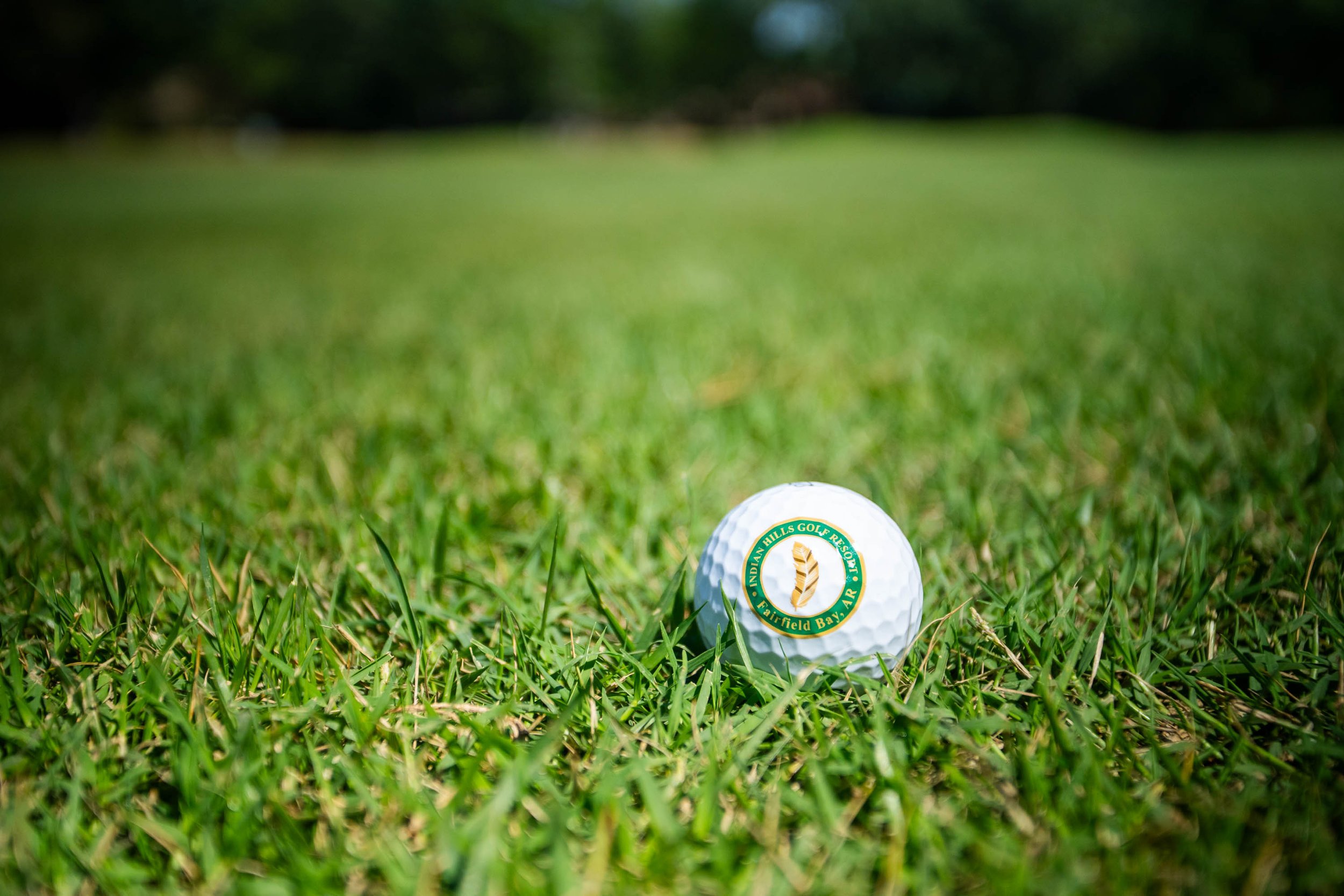 Close-up of a golf ball on green grass at a golf course with a blurred background.