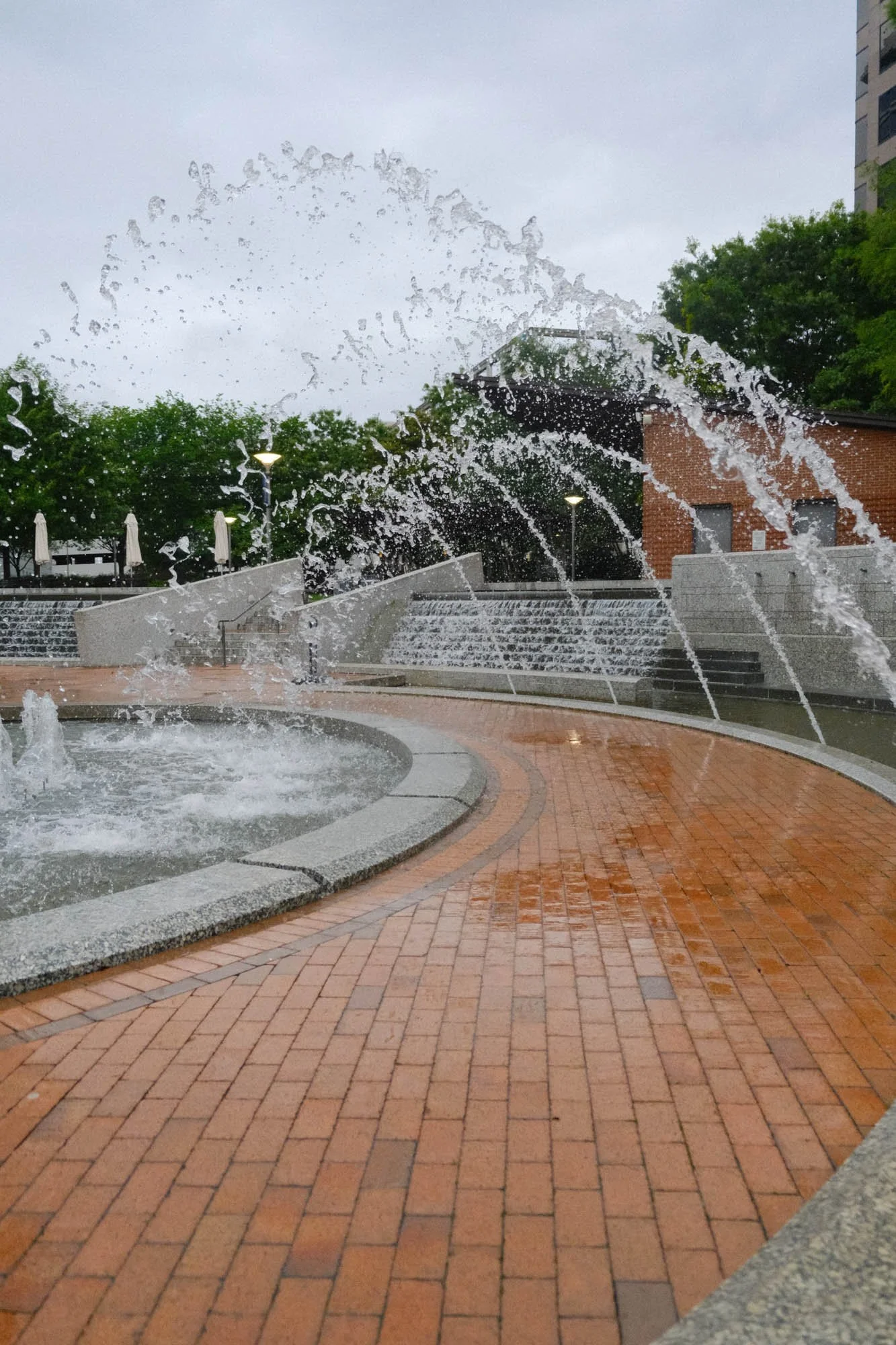 DSCF6473.jpg