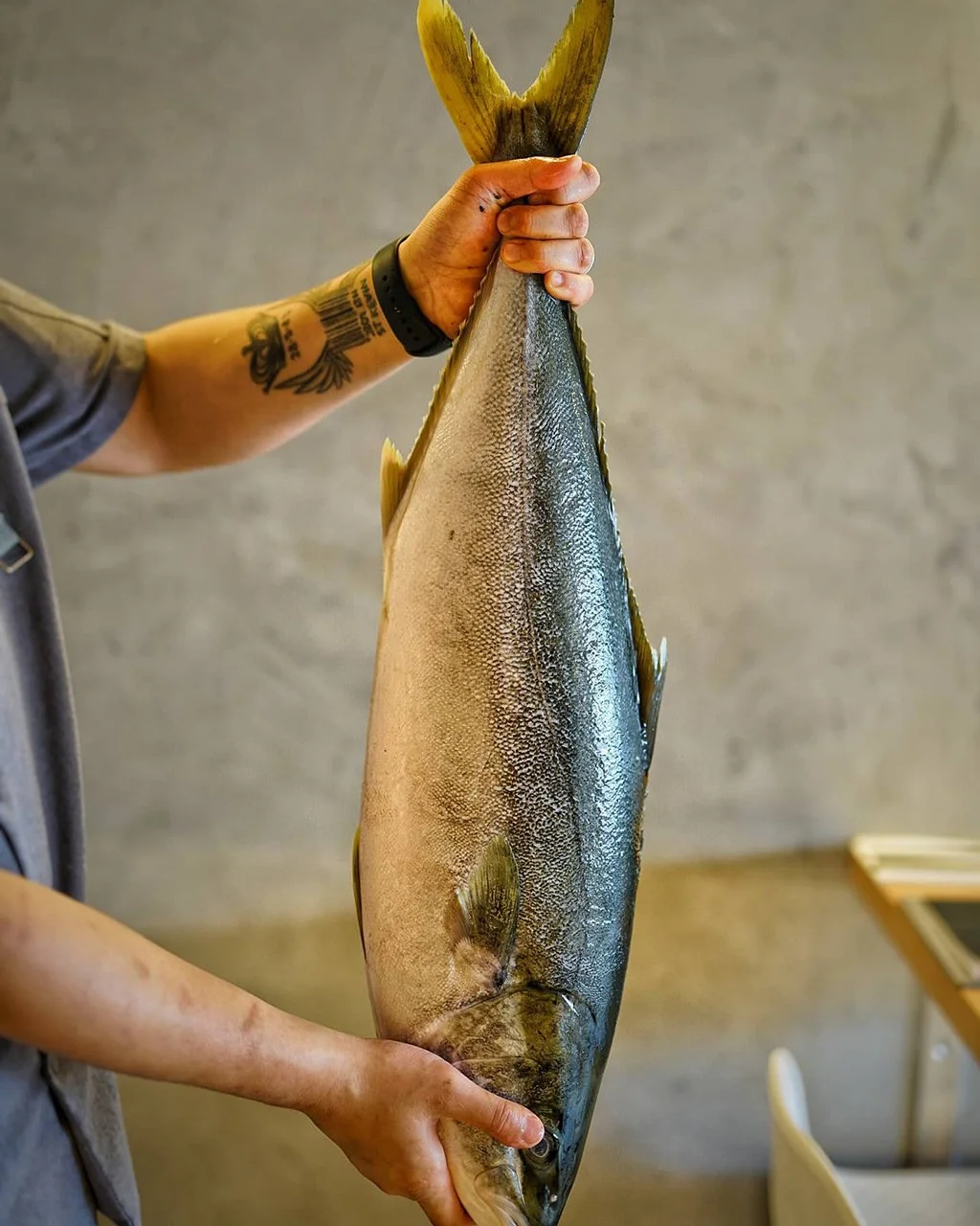 Person holding a large fish with both hands, standing indoors. The fish is silver with darker fins and a smooth, shiny surface.