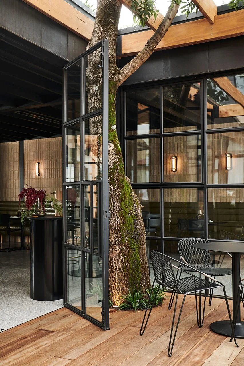 Interior view of a modern restaurant or cafe with large glass windows, metal chairs, tables, and a tree growing through the floor and ceiling, integrated into the design.