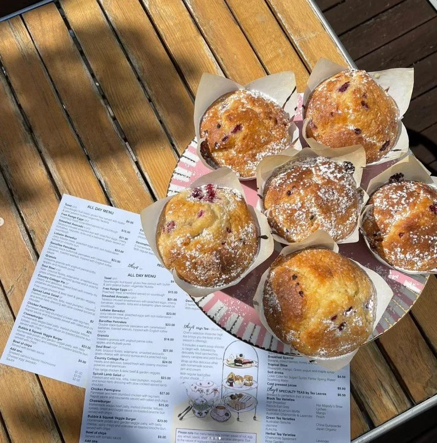 A pink and white plate holding seven blueberry muffins dusted with powdered sugar on a wooden table. Two menus are partially visible underneath the plate.
