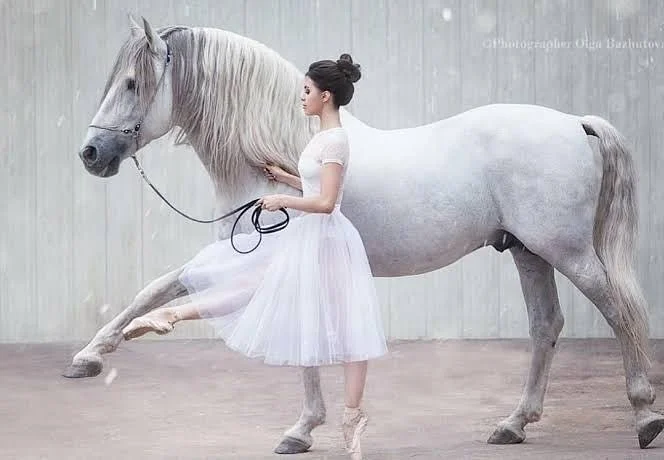 A woman dressed in a white ballet tutu and top is holding a white horse's reins and appears to be playing or practicing ballet in a dance studio with a plain gray wall.