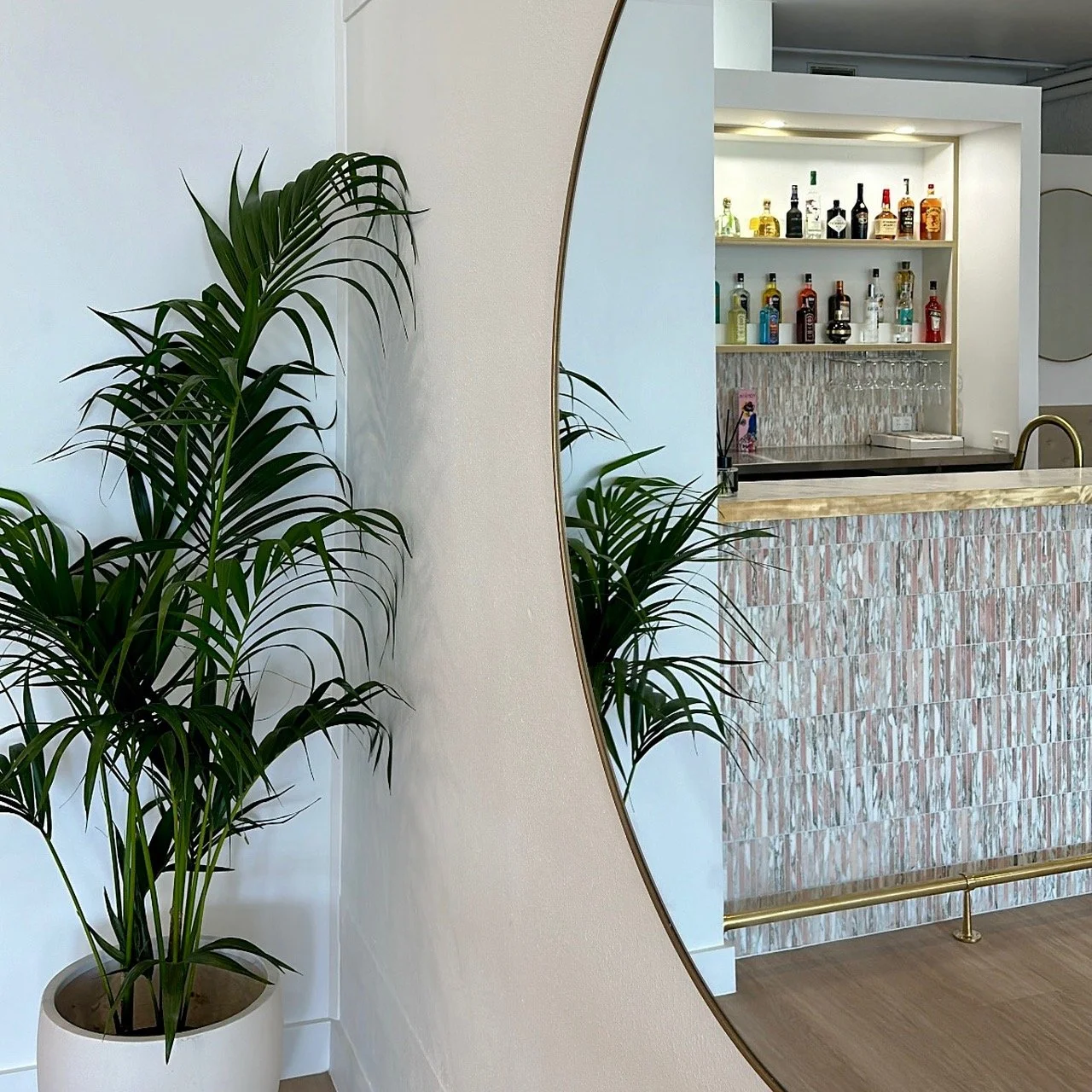 A tall green potted plant reflected in a mirror, with a bar area with bottles in the background.