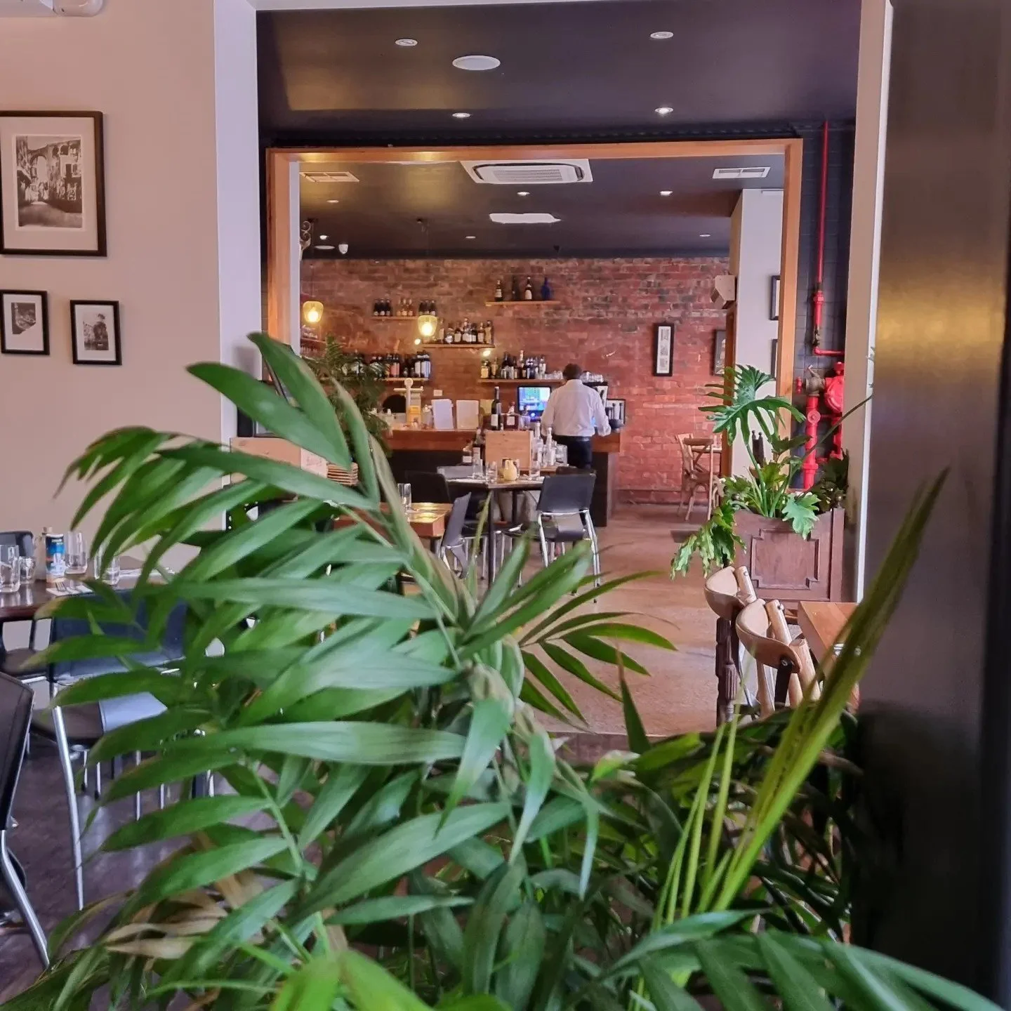 A view of a cozy restaurant interior seen through potted green plants at the foreground. In the background, there is a brick wall with shelves holding bottles and glasses, and a man in a white shirt working behind the bar. The restaurant has a warm, 