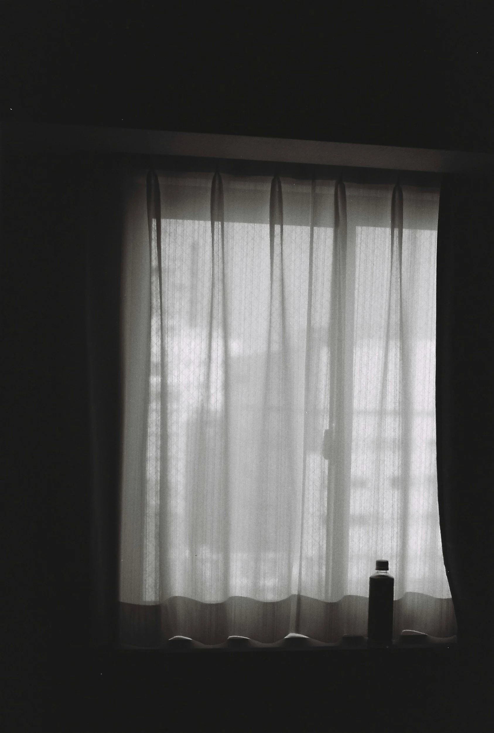 A window with sheer curtains, a bottle on the windowsill, and faint outdoor scenery visible through the curtains, a relaxed environment