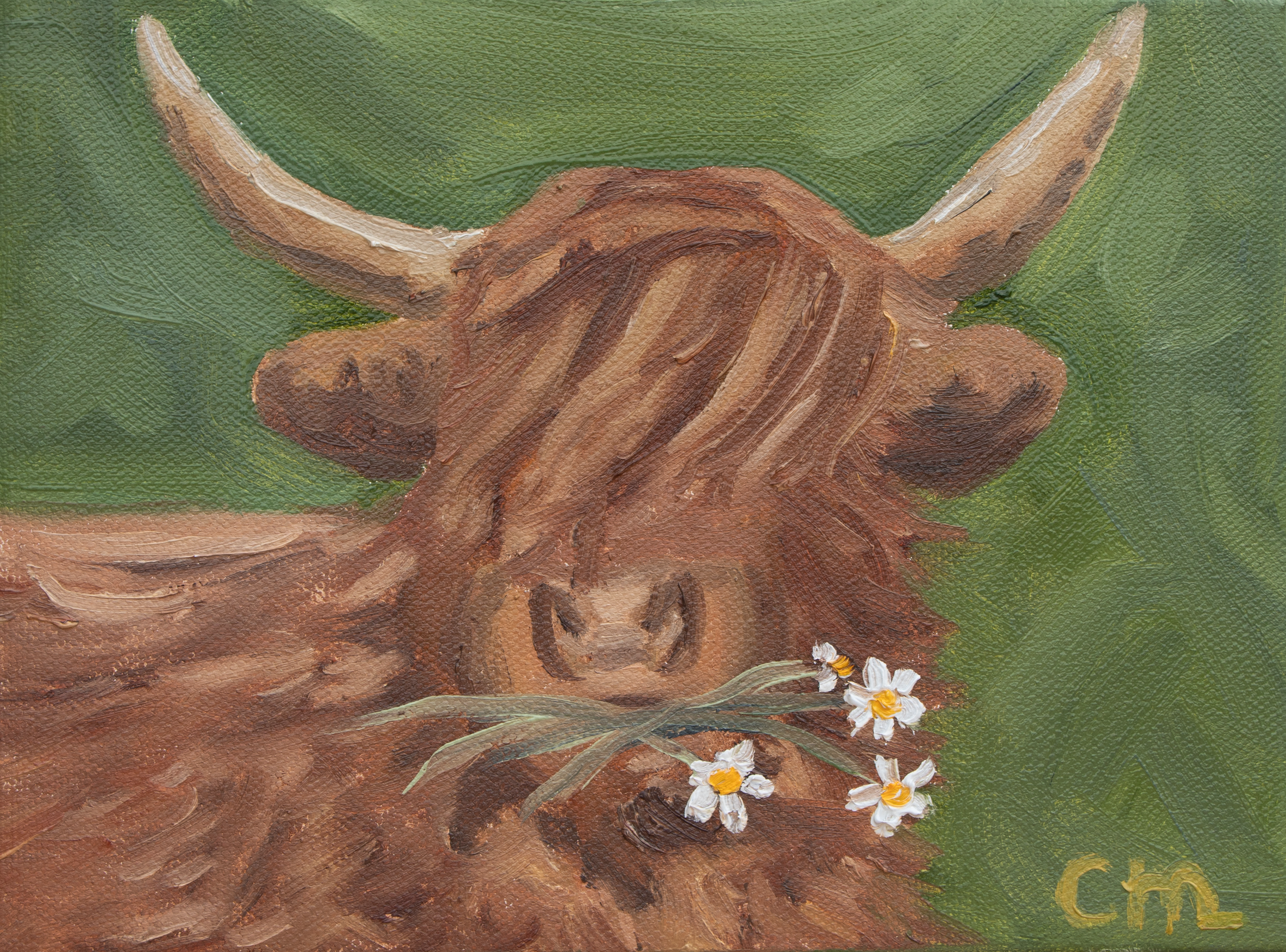 "Highland Cow"
