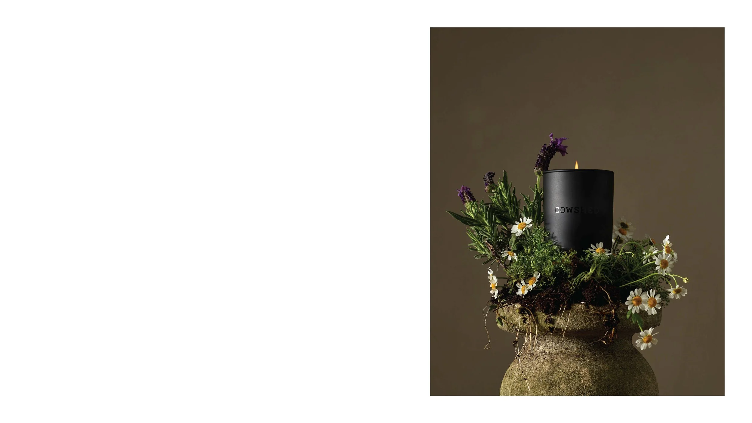 Cowshed Core_Page_5.jpg