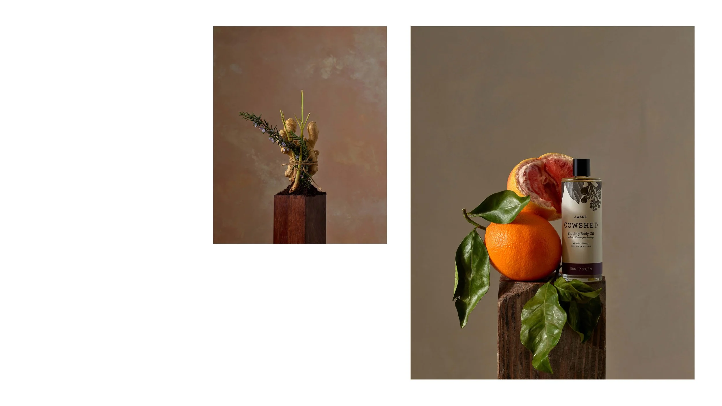 Cowshed Core_Page_3.jpg