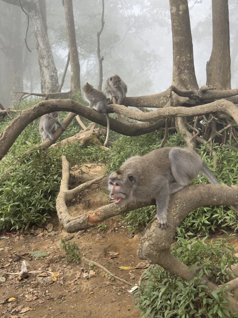 IMG_6049 ve velké velikosti.jpeg