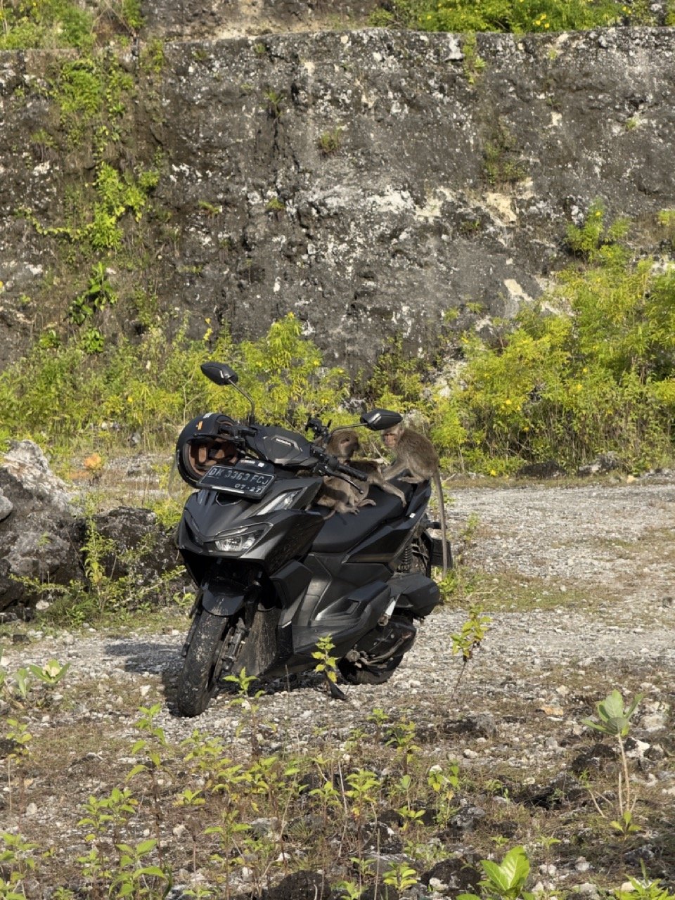 IMG_6113 ve velké velikosti.jpeg