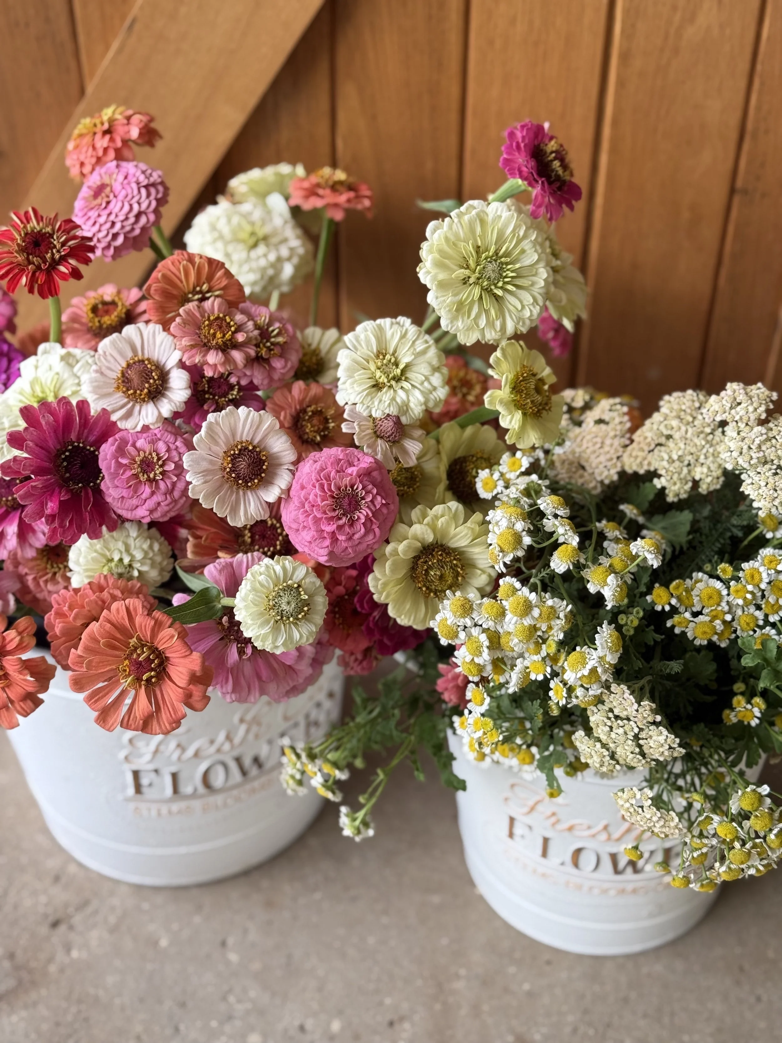 Two white floral buckets filled with pink, white, peach, and yellow flowers, set against a wooden background.