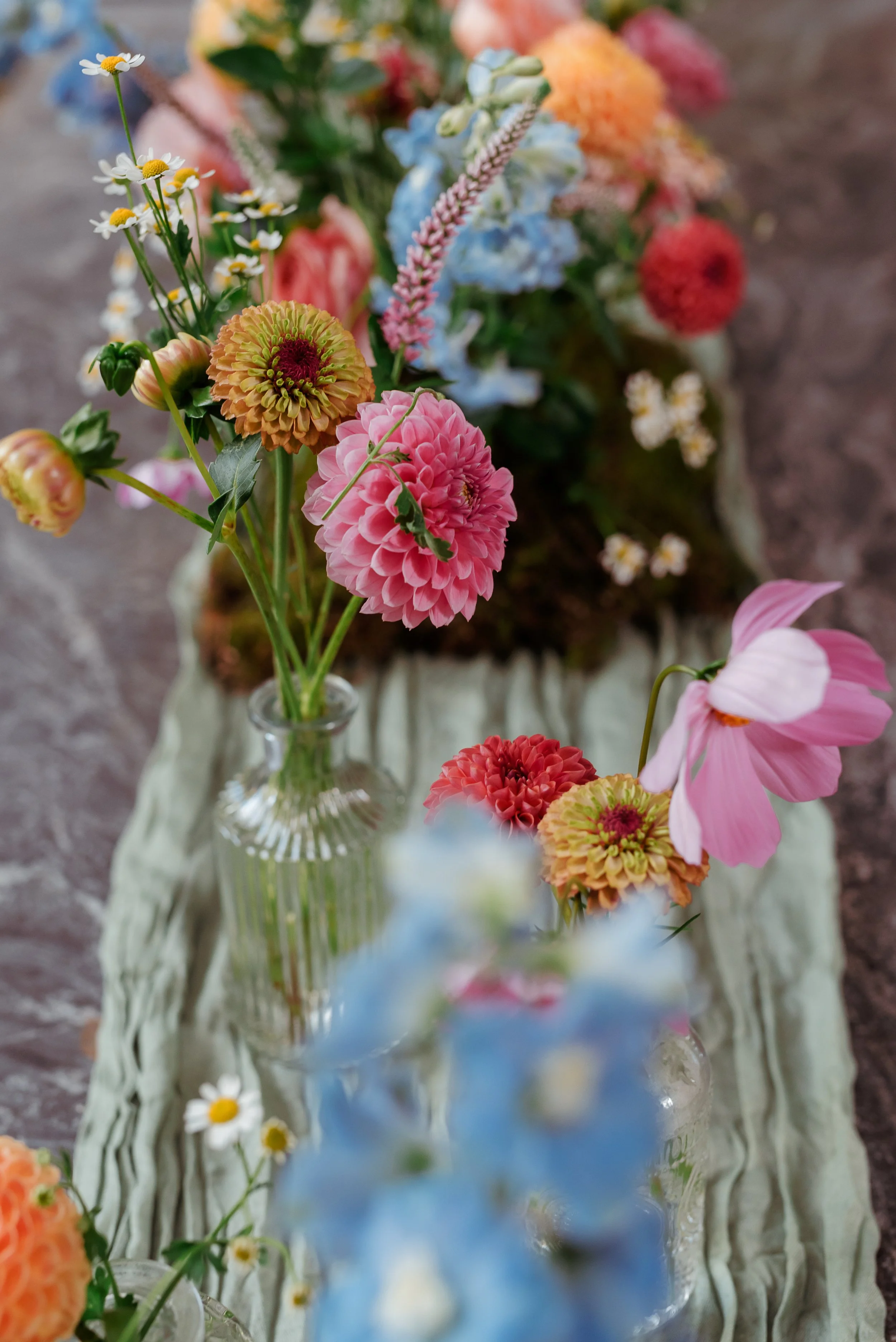 Photos  by Georgie James Photography