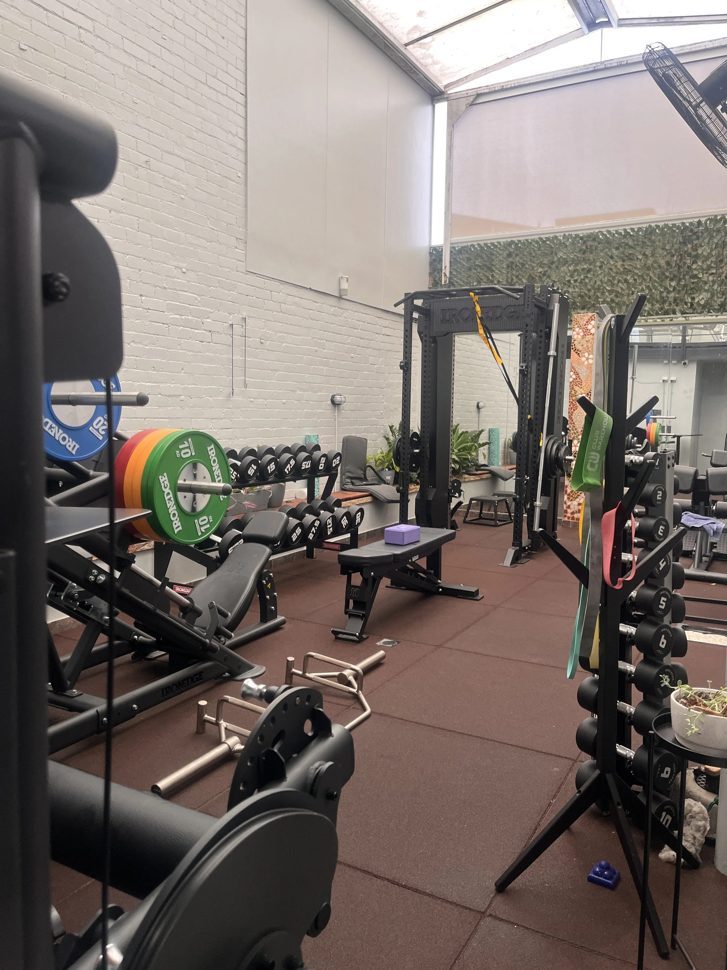 Indoor gym with weightlifting equipment, including dumbbells, weight plates, resistance bands, a bench, and a squat rack on a red mat floor, with a white brick wall and plants in the background.