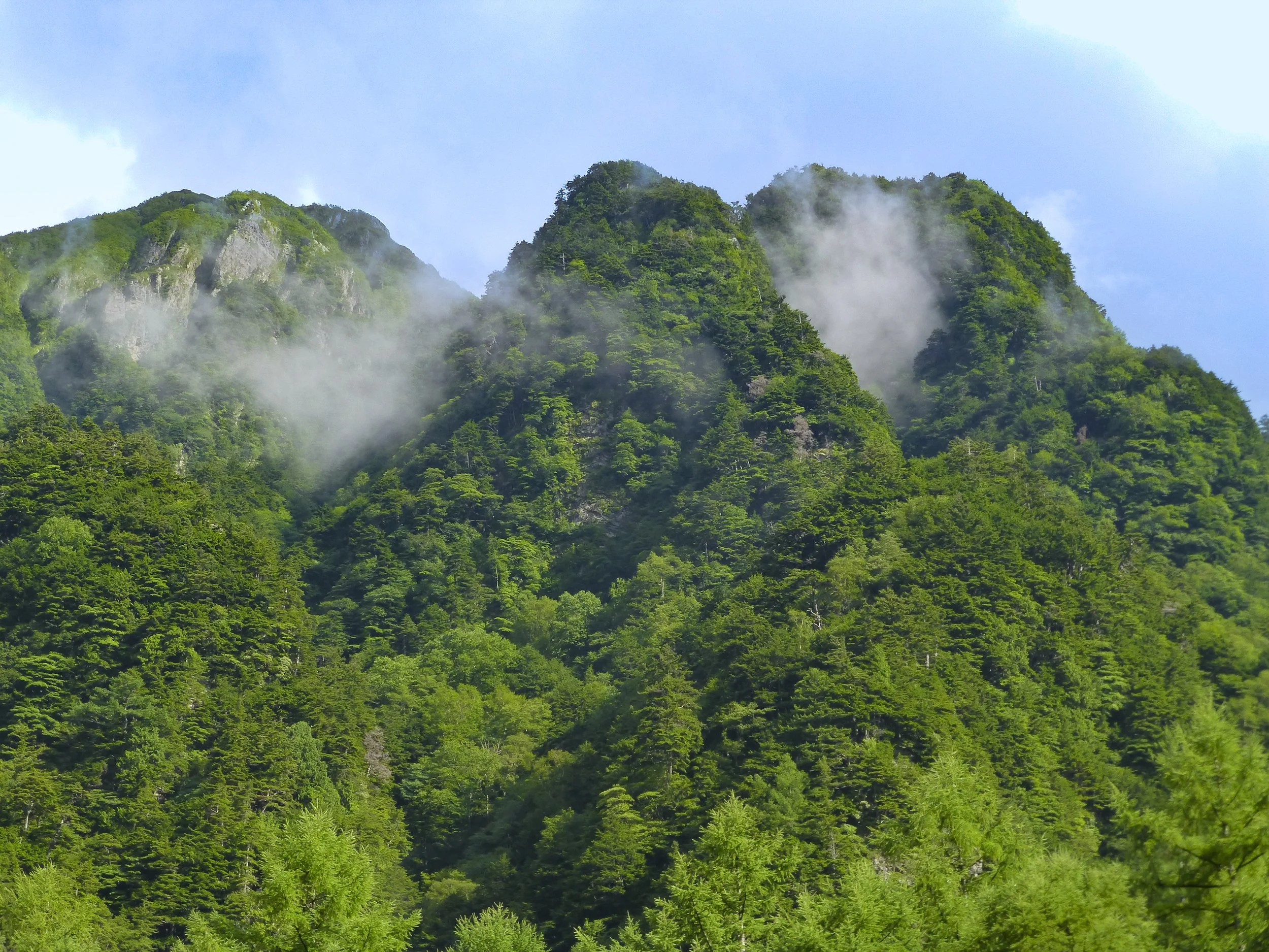 P1010073.jpg