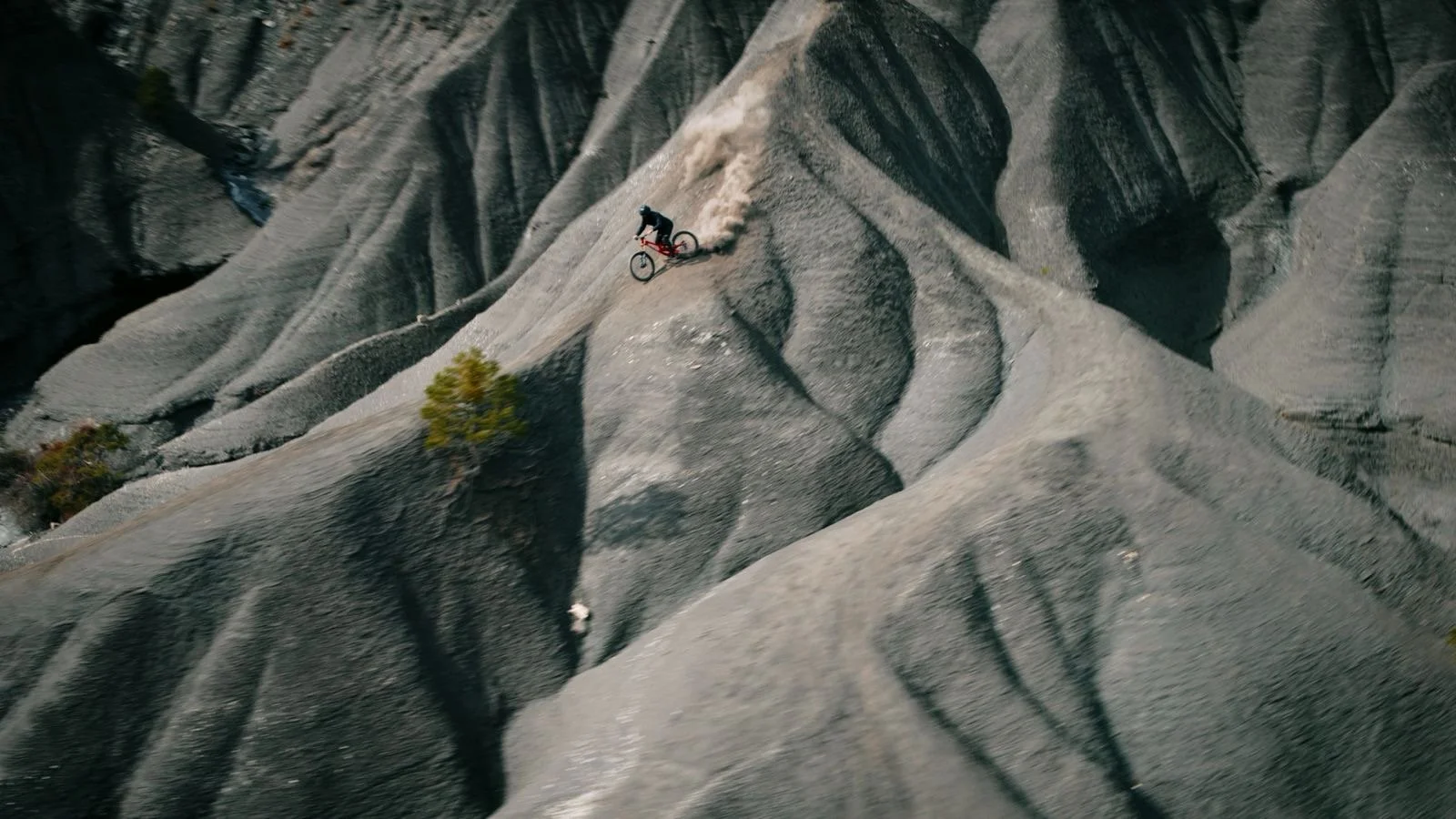 92fbce6c-2486-4f5e-a74a-b8734ce676a6 2.JPG