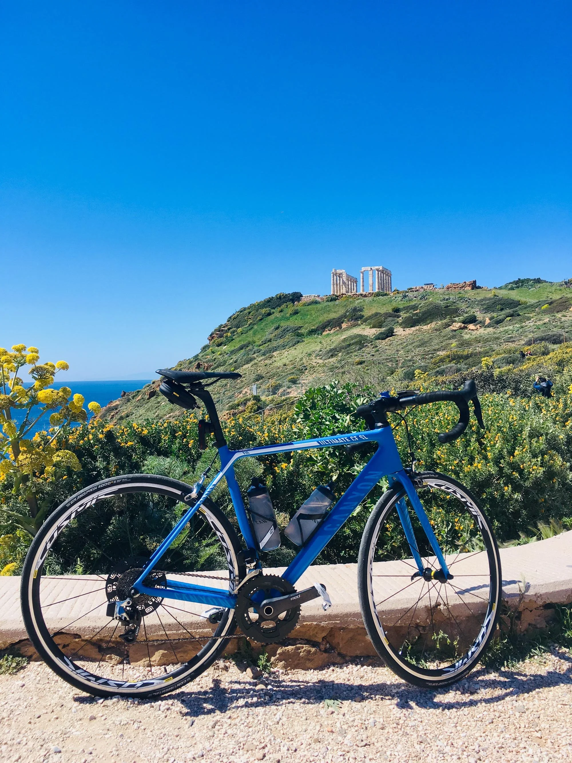 Blue road bike with water bottles parked on a path near yellow flowers, with green hills and the ocean in the background under a clear blue sky.