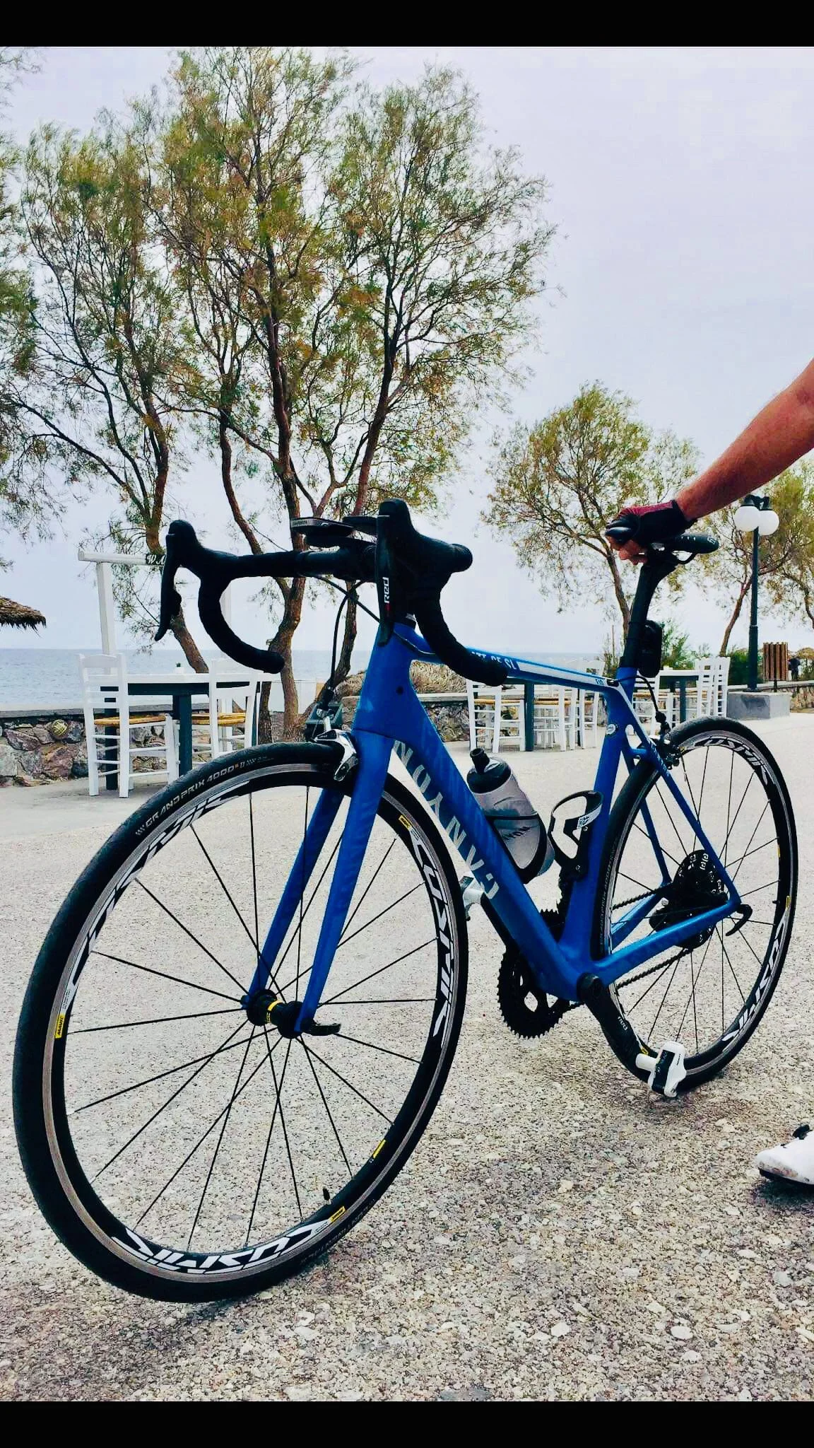 A blue road bike with black tires and handlebars on a paved path near trees and outdoor seating at a seaside location.