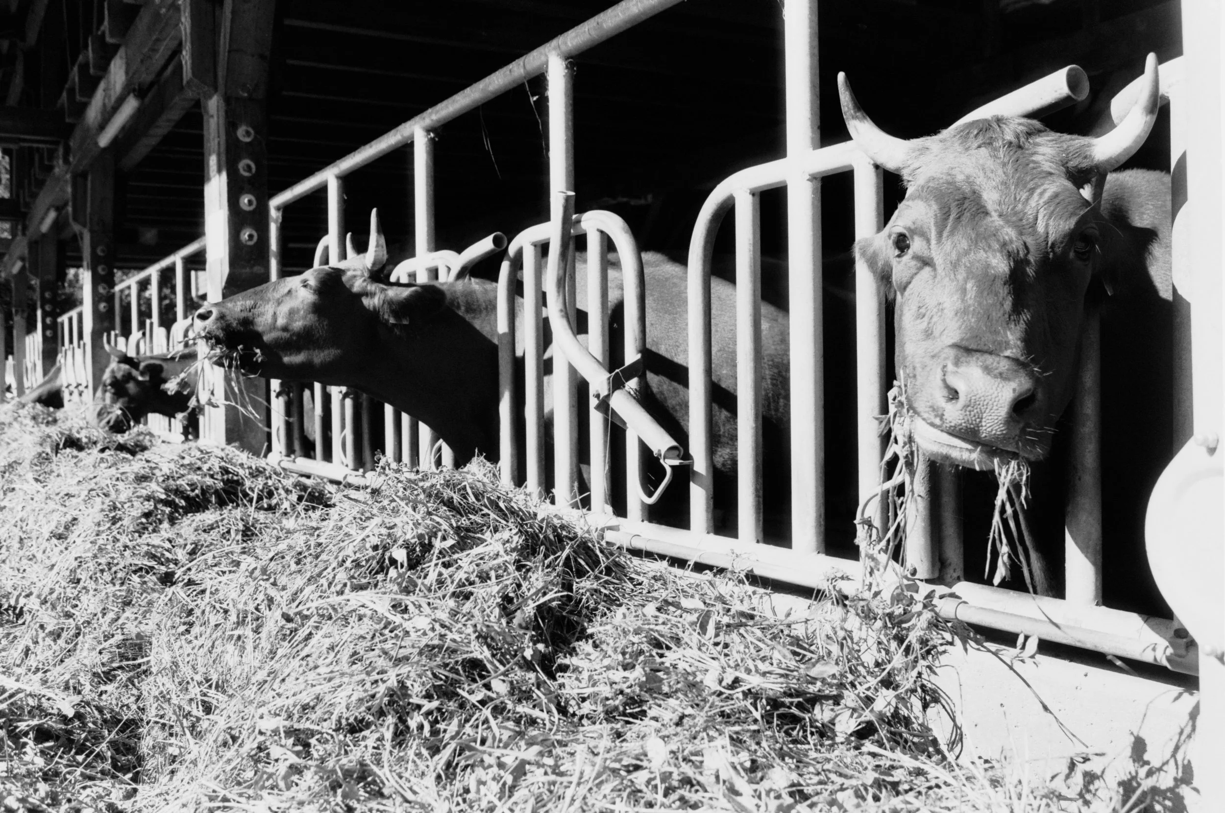 Image015603690423 (1).JPG