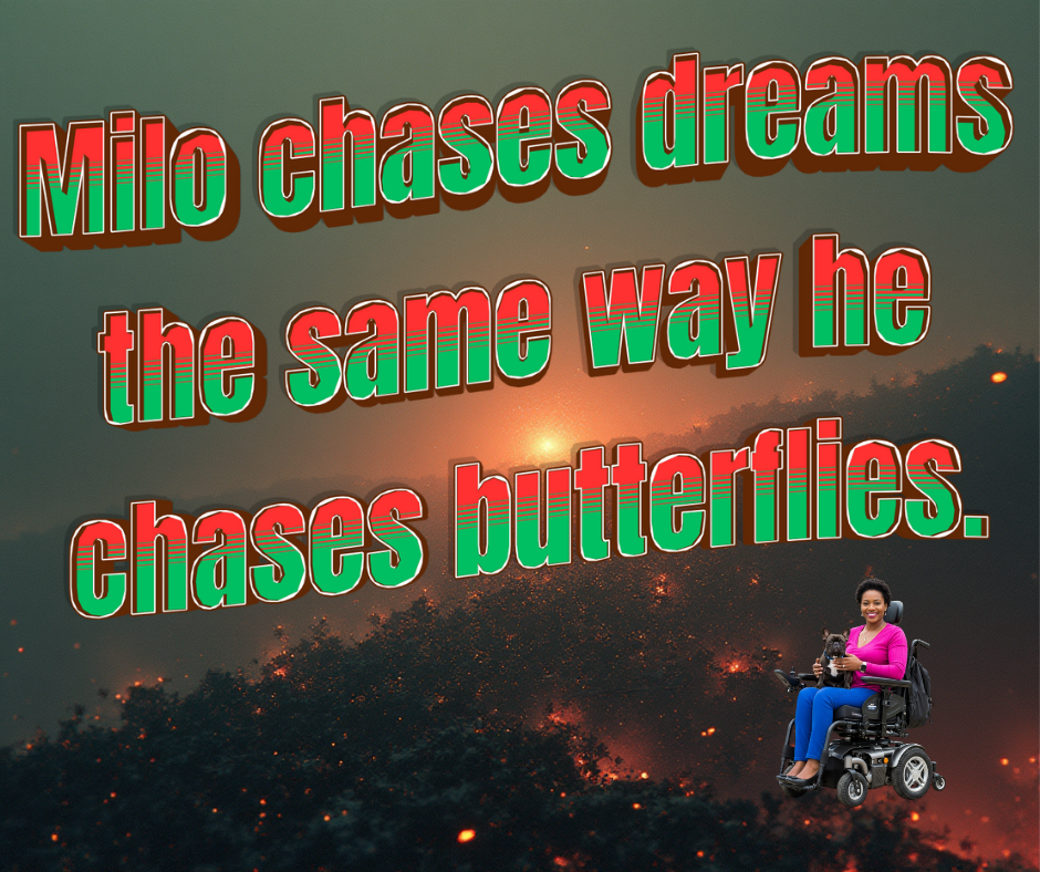 4.png